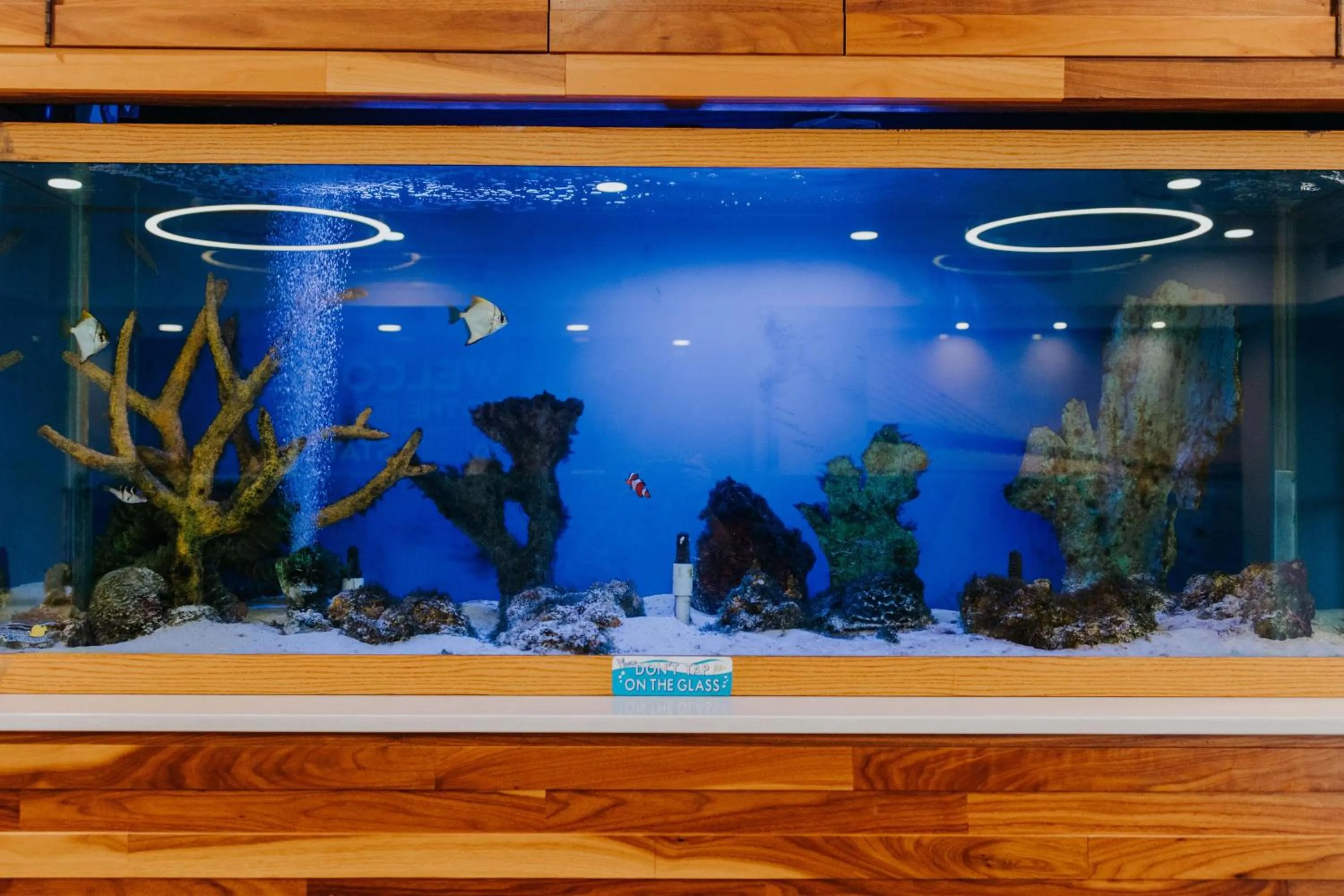 Lobby or reception in Hampton Inn Rehoboth Beach