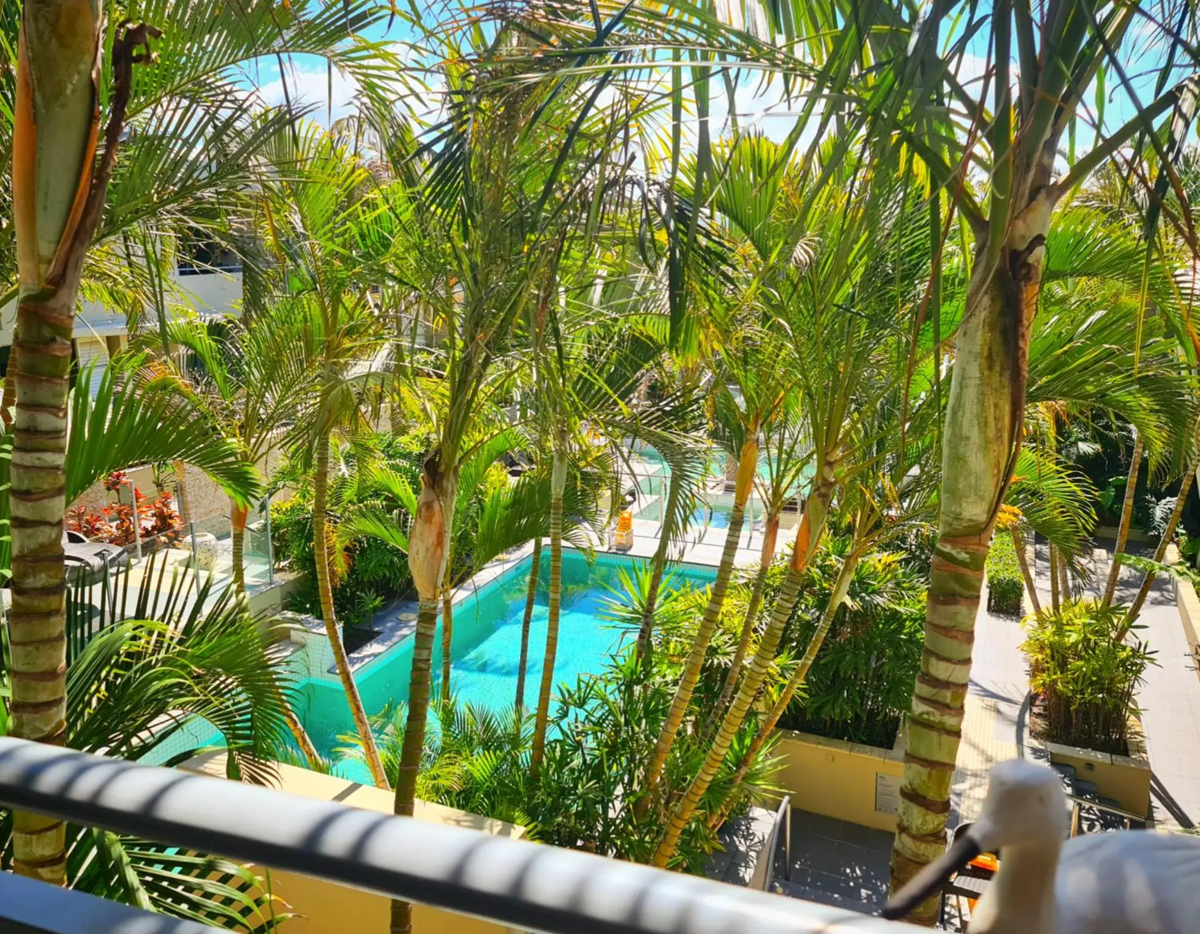 Swimming pool in The Beach Cabarita Swimming pool in The Beach Cabarita