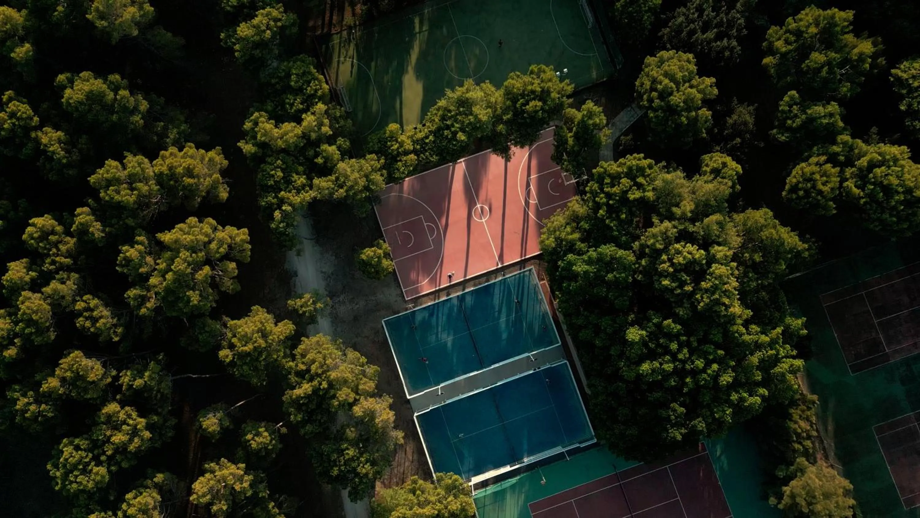 Sports in Mangia's Brucoli, Sicily, Autograph Collection