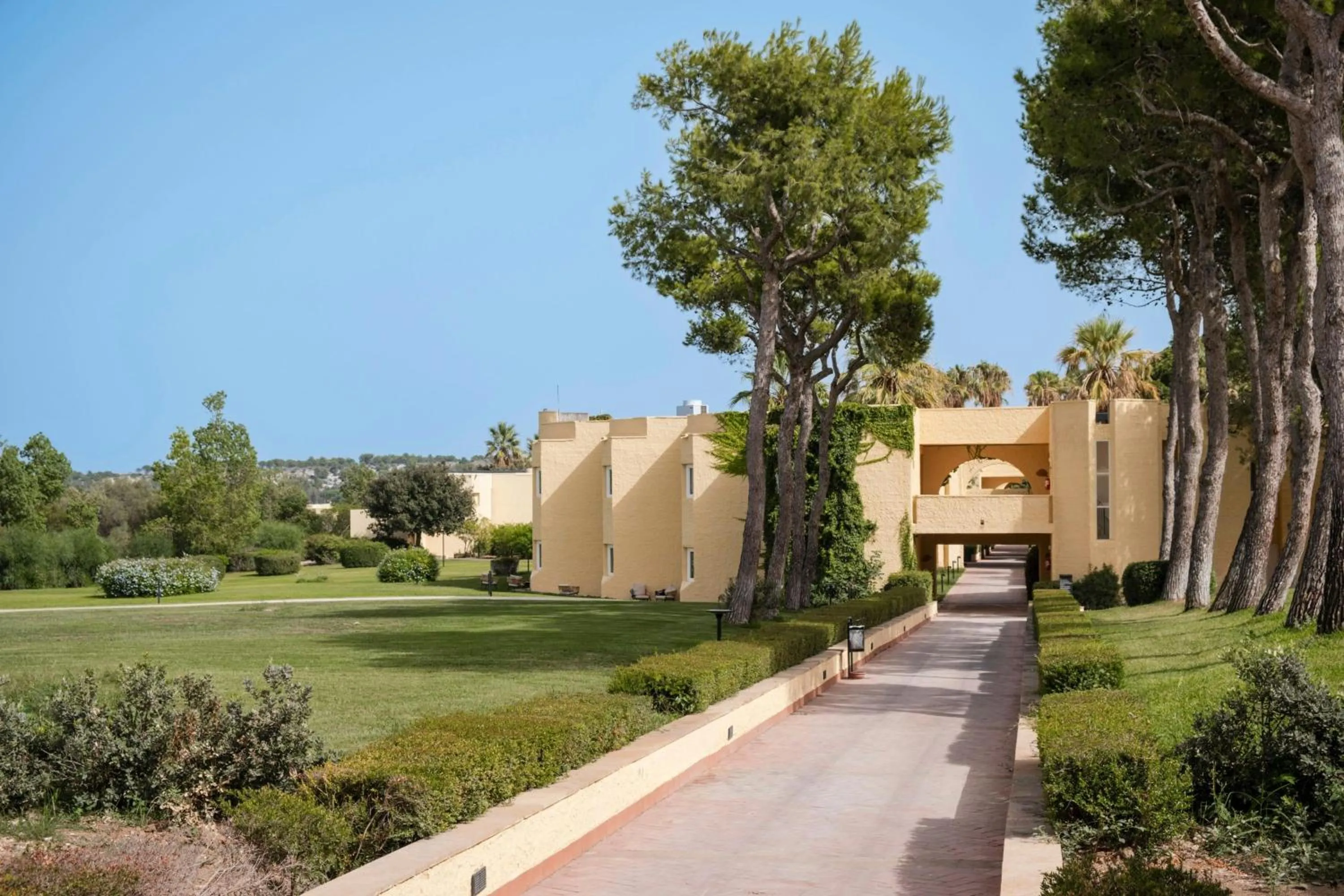 Other in Mangia's Brucoli, Sicily, Autograph Collection