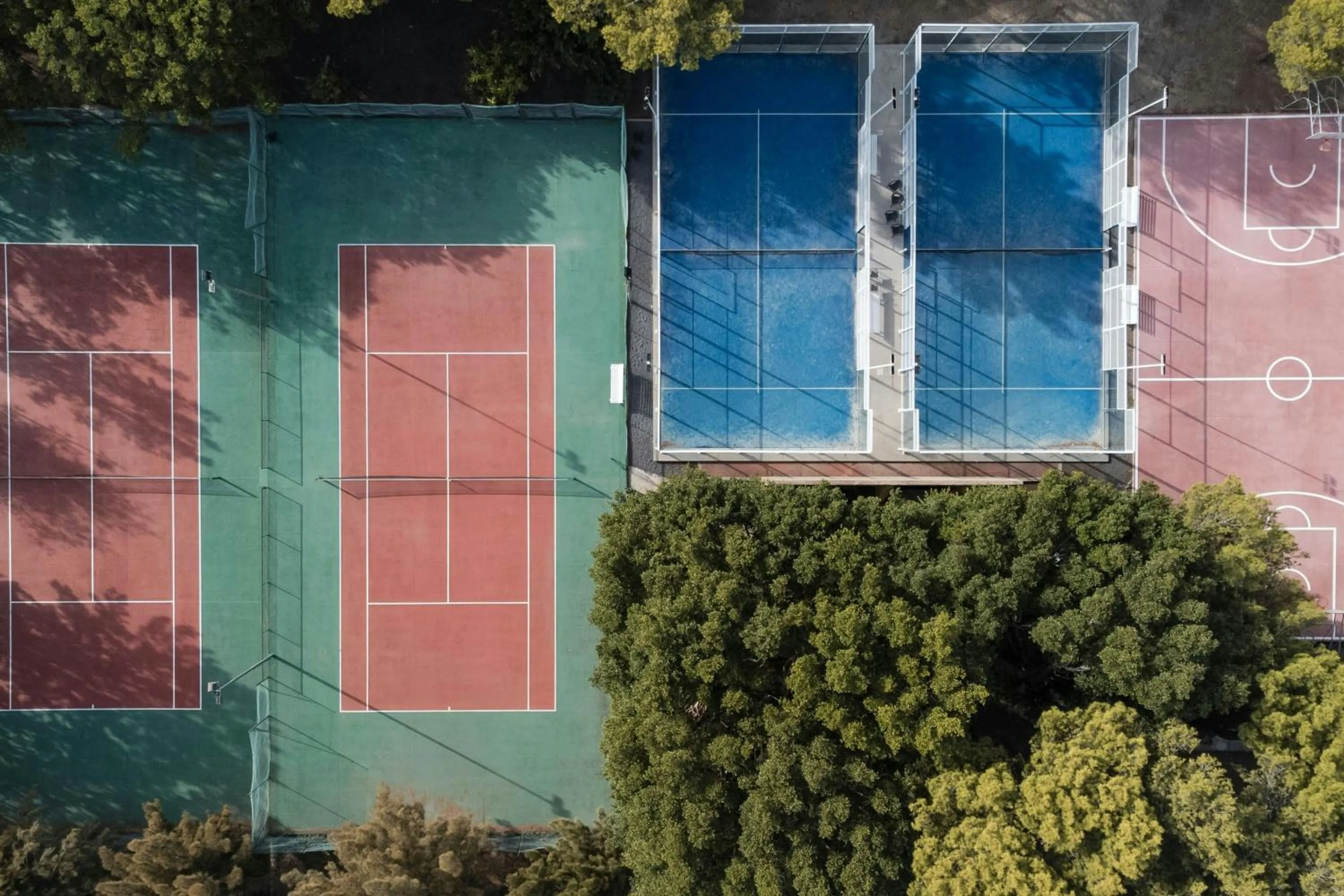 Other in Mangia's Brucoli, Sicily, Autograph Collection