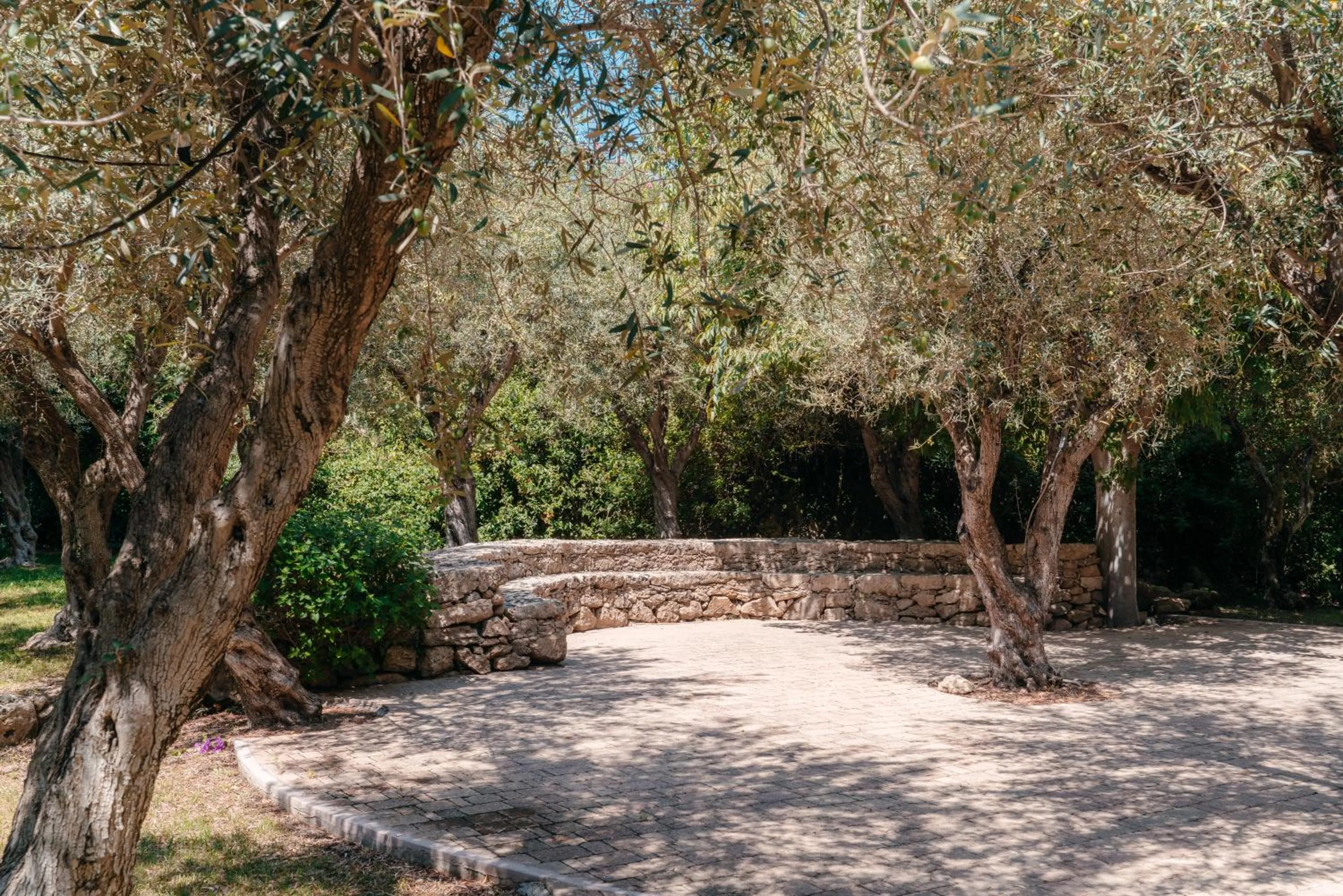 Garden in Mangia's Brucoli, Sicily, Autograph Collection