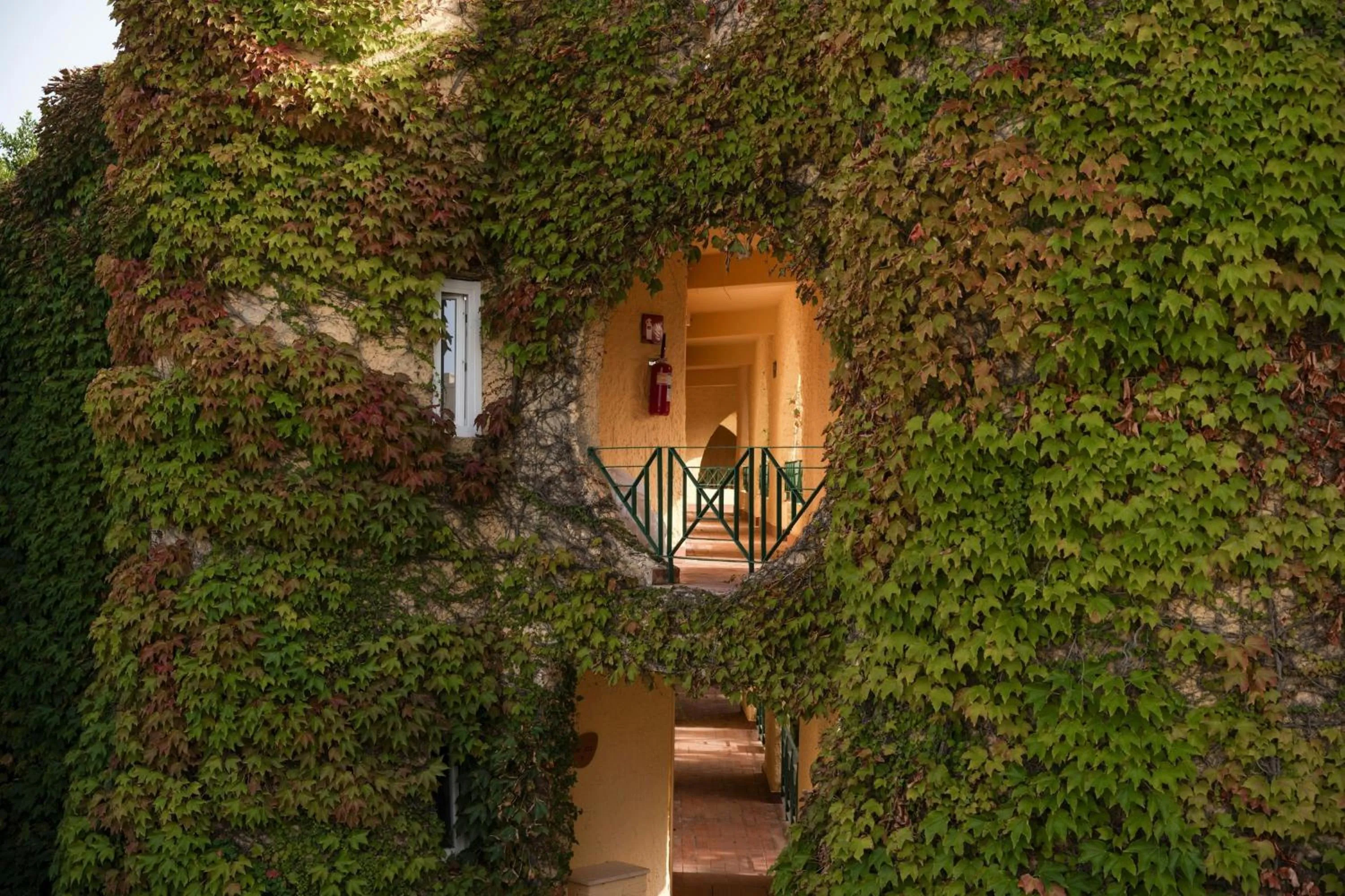 View (from property/room) in Mangia's Brucoli, Sicily, Autograph Collection