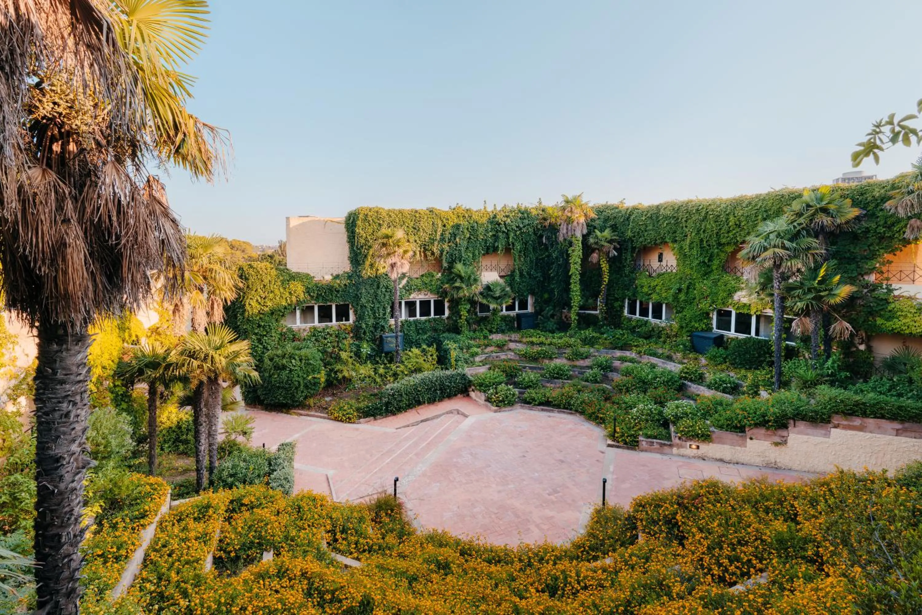 Garden in Mangia's Brucoli, Sicily, Autograph Collection