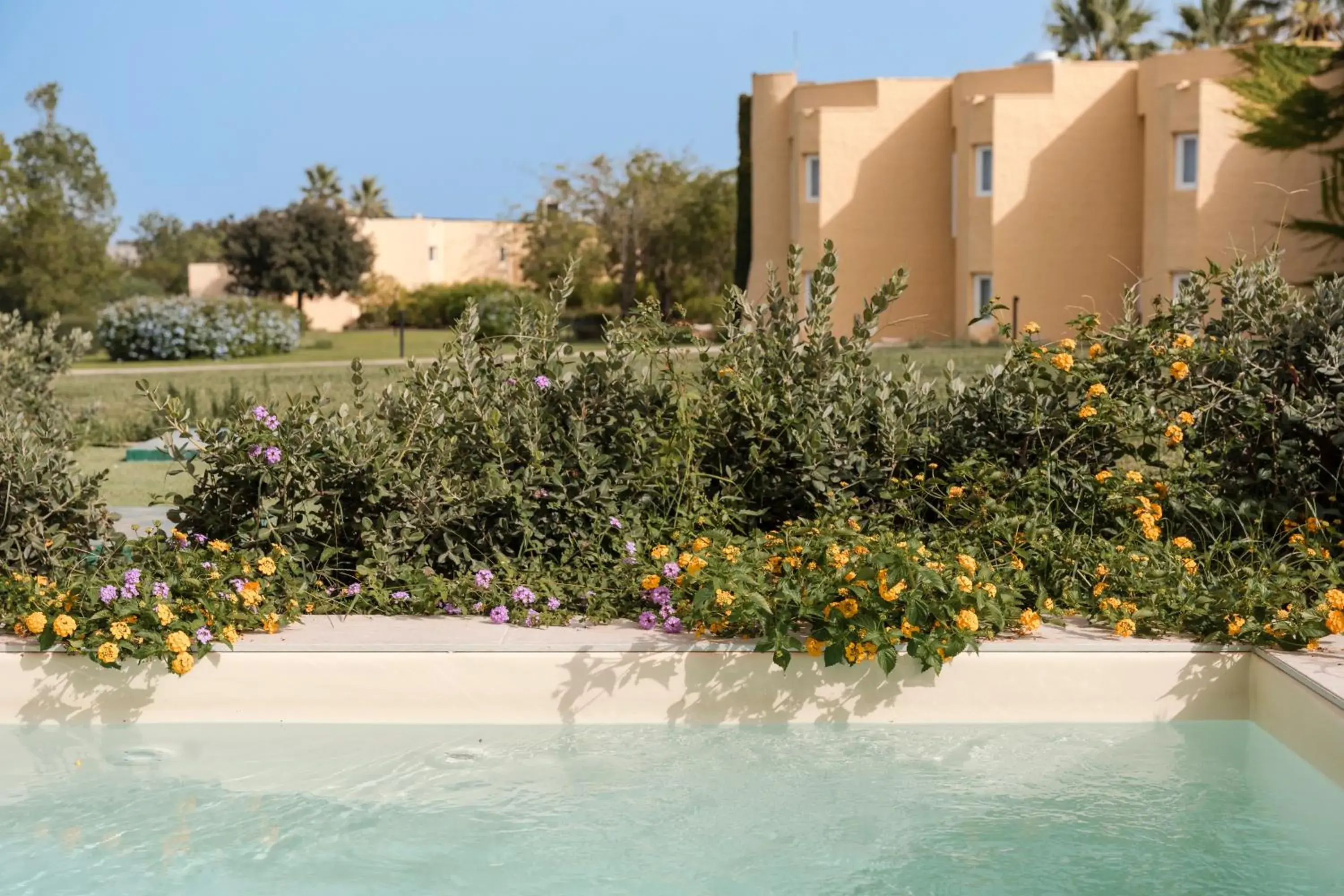 Garden view in Mangia's Brucoli, Sicily, Autograph Collection Garden view in Mangia's Brucoli, Sicily, Autograph Collection