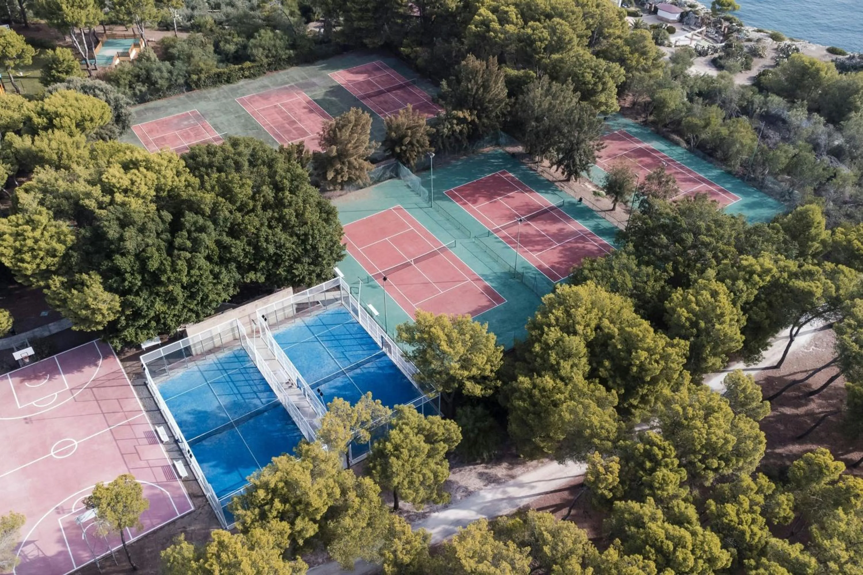 Other in Mangia's Brucoli, Sicily, Autograph Collection