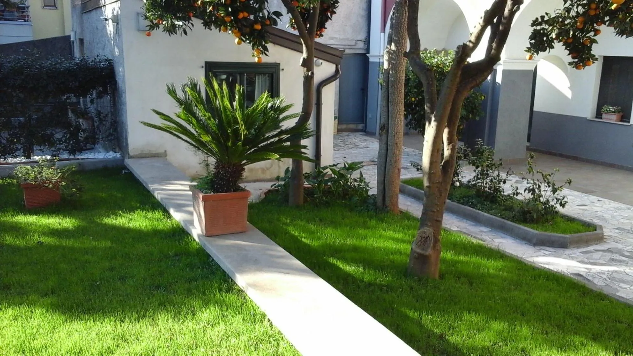 Garden in La magnolia B&B