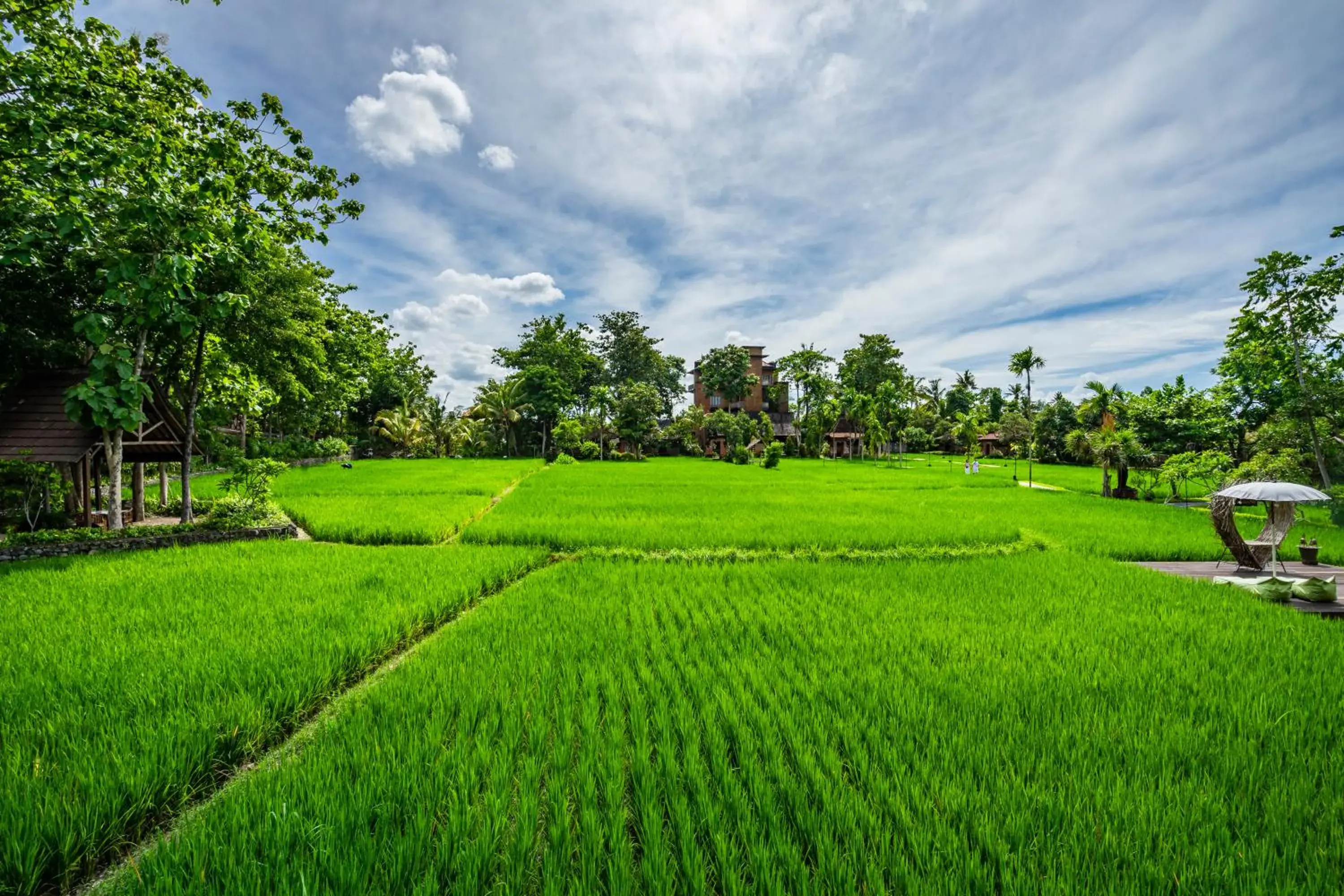 Garden in KajaNe Yangloni at Ubud Bali Garden in KajaNe Yangloni at Ubud Bali