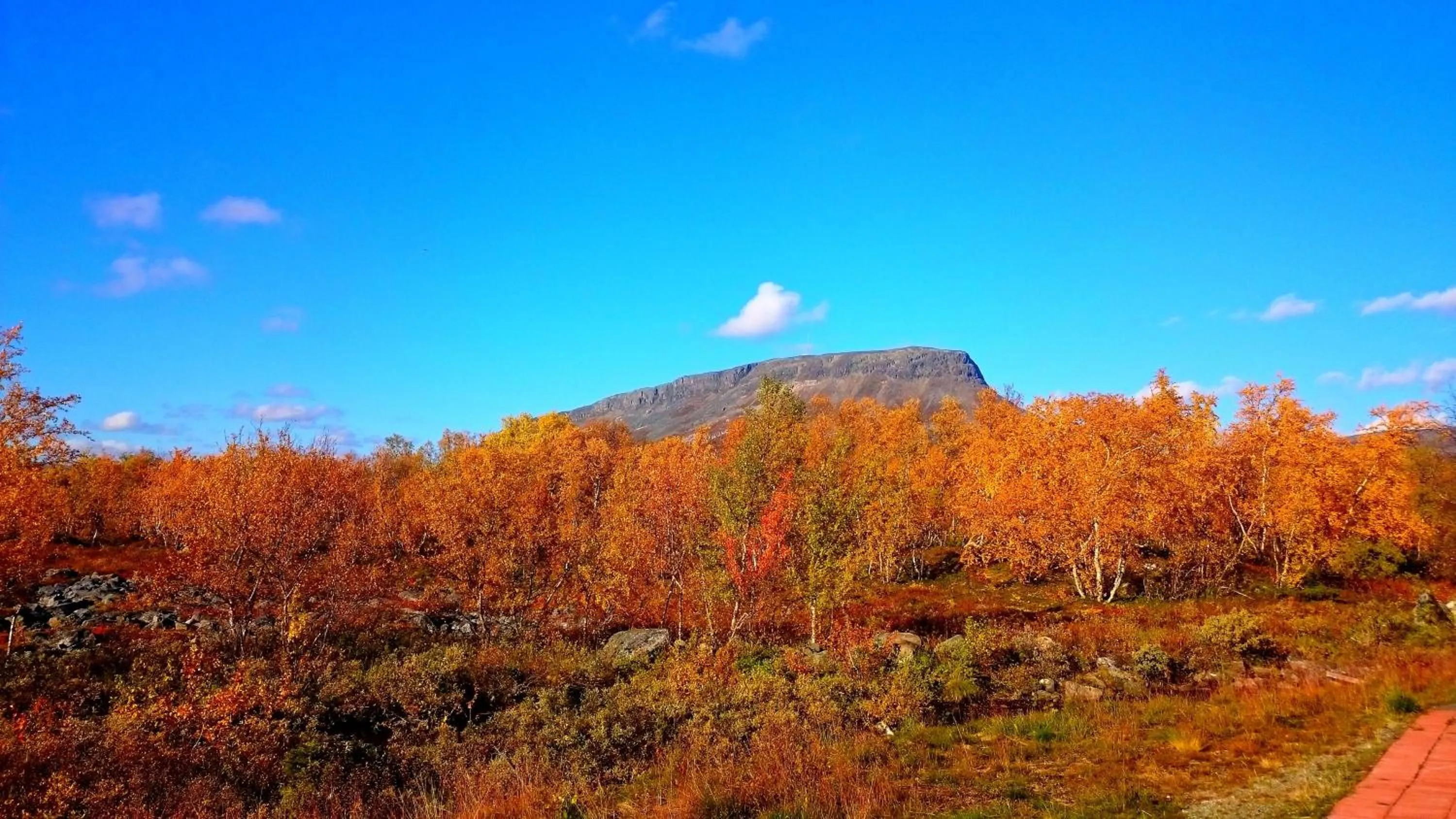Natural landscape in Tundrea Holiday Resort