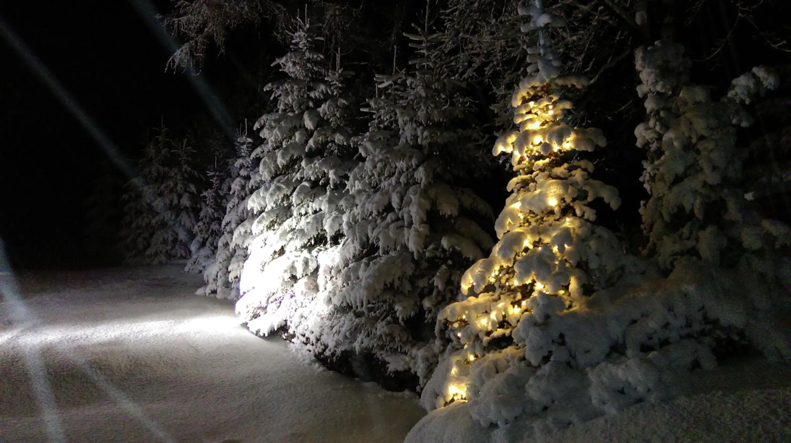 Winter in Hotel Bouda Jana