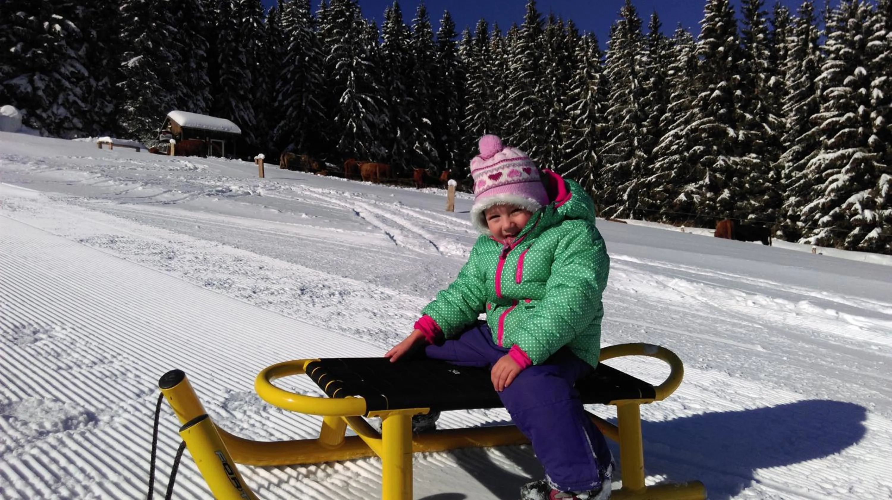Natural landscape in Hotel Bouda Jana