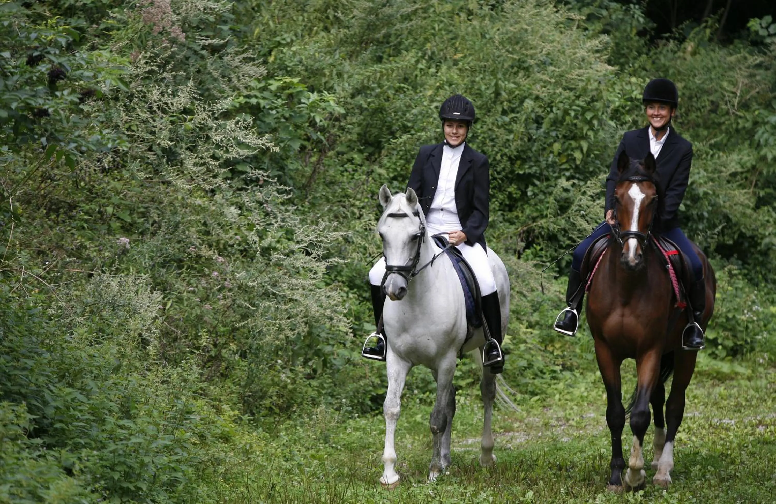 Horse-riding in Hotel Restaurant Höldrichsmühle