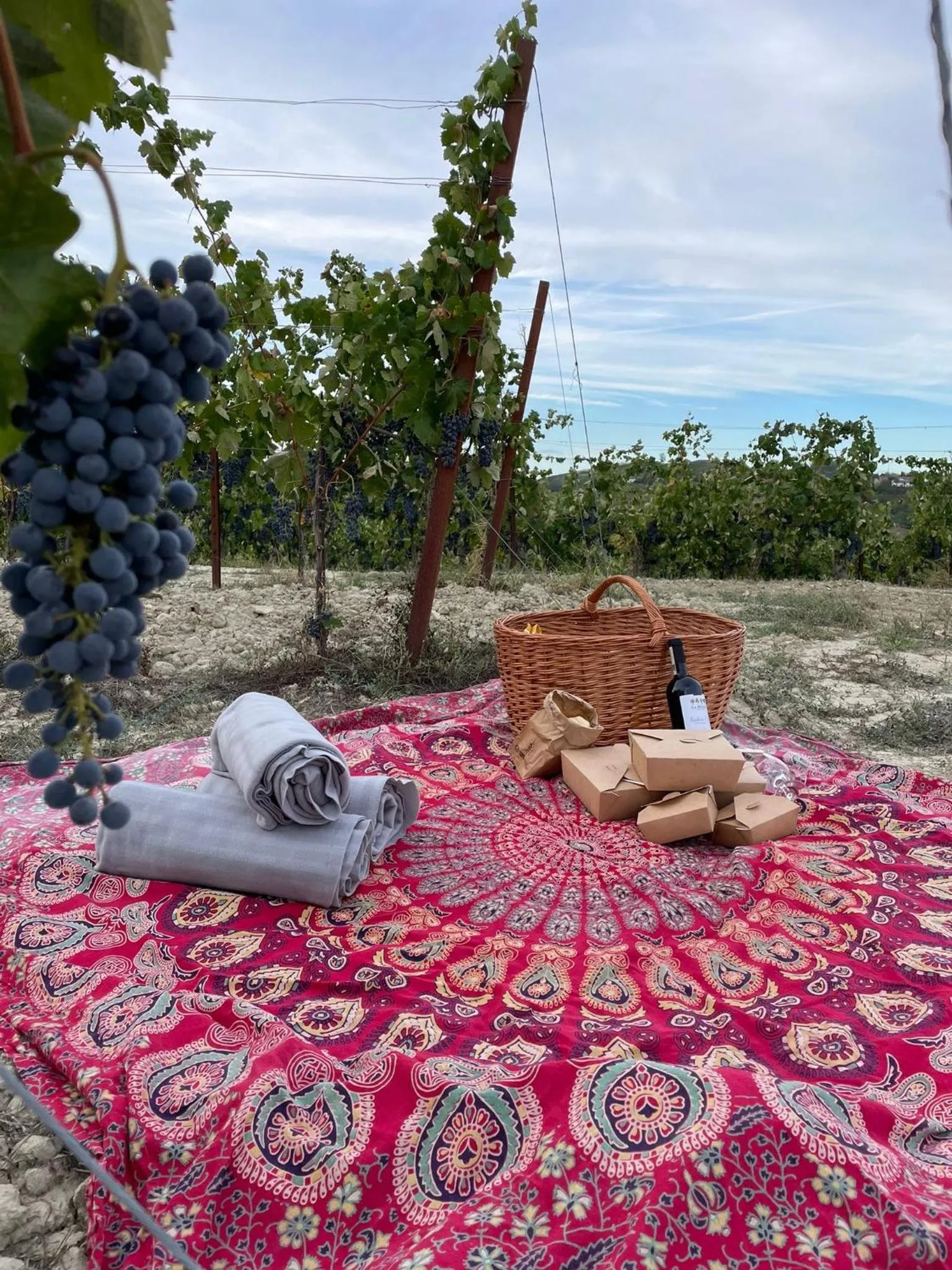 Agriturismo La Mussia