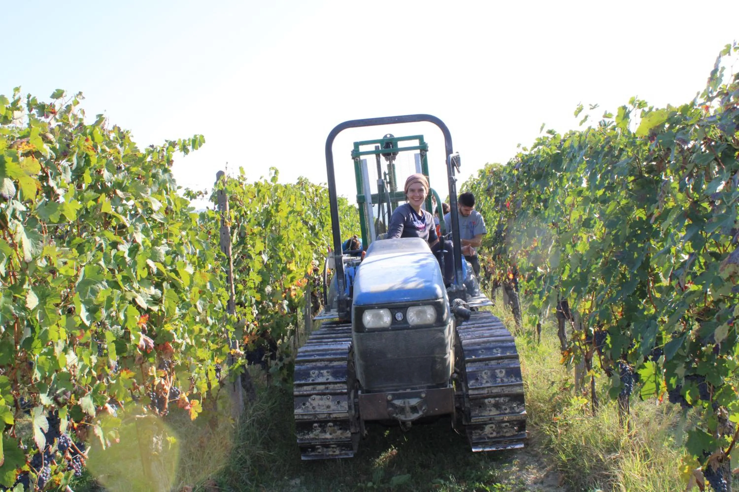 Activities in Agriturismo La Mussia