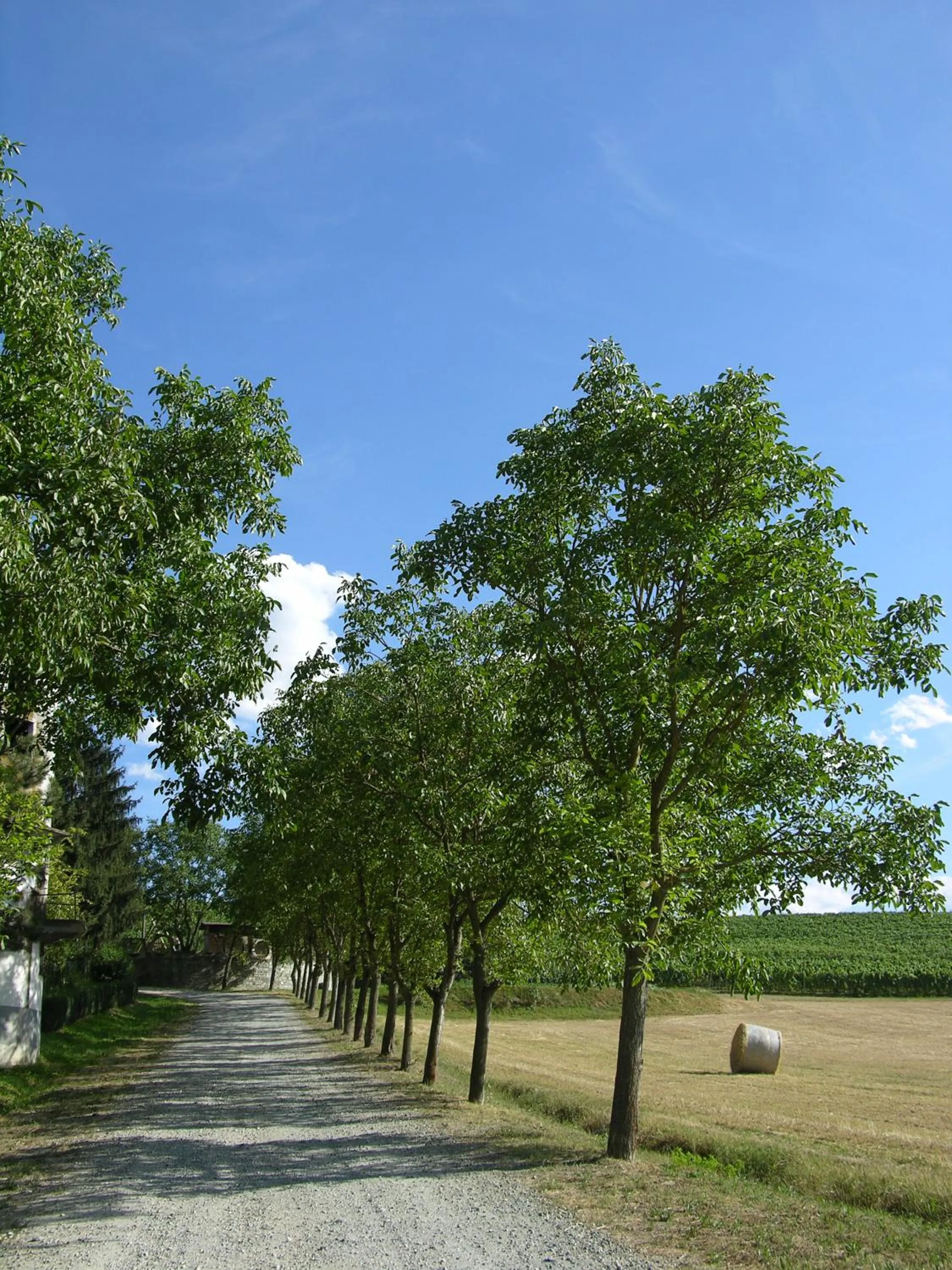 Natural landscape in Agriturismo La Mussia