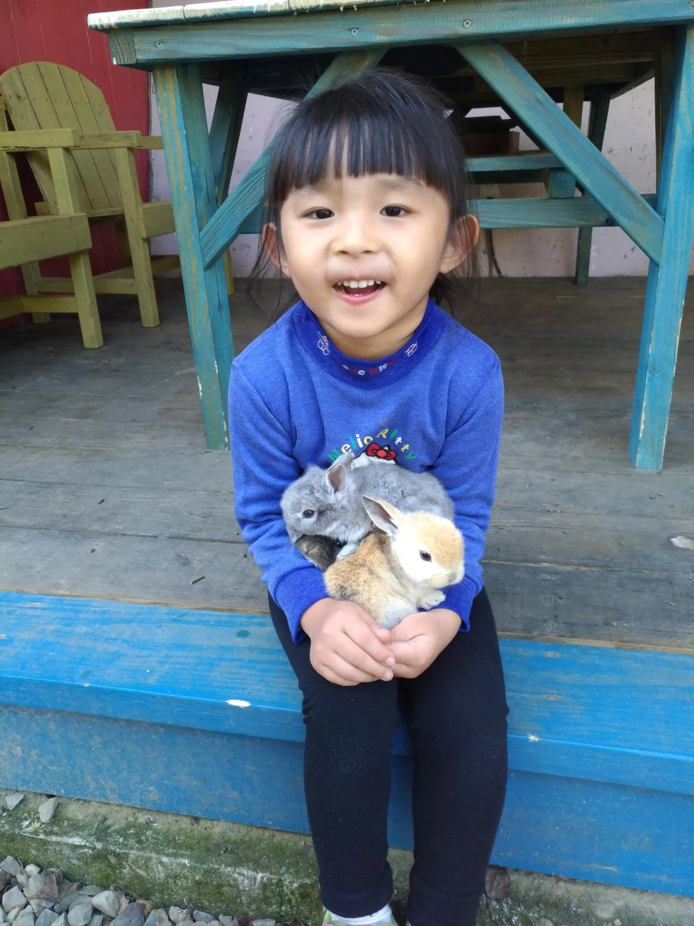 SHYE Lithuania Homestay