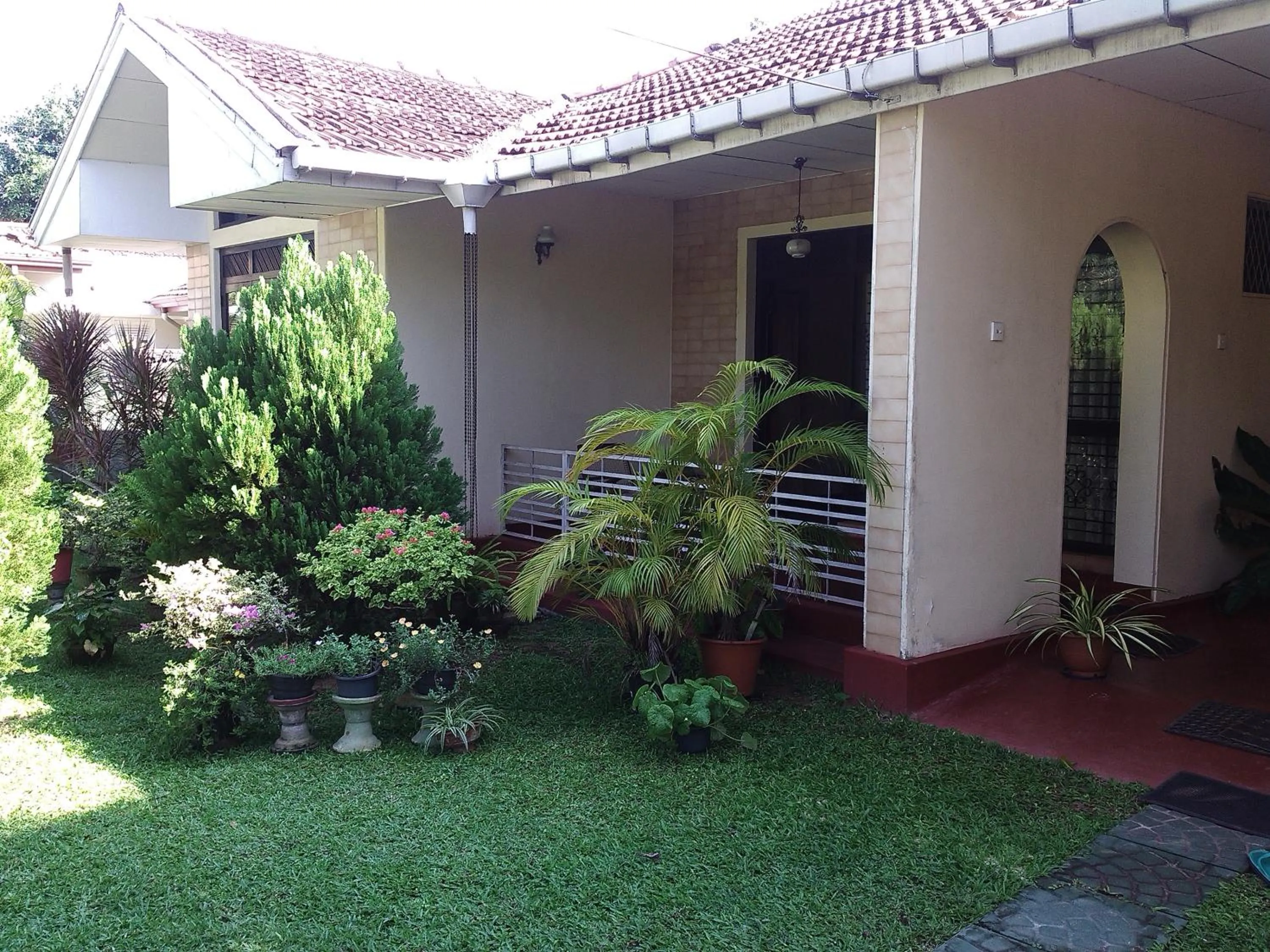Garden in Mama's Hostel by Taprobane