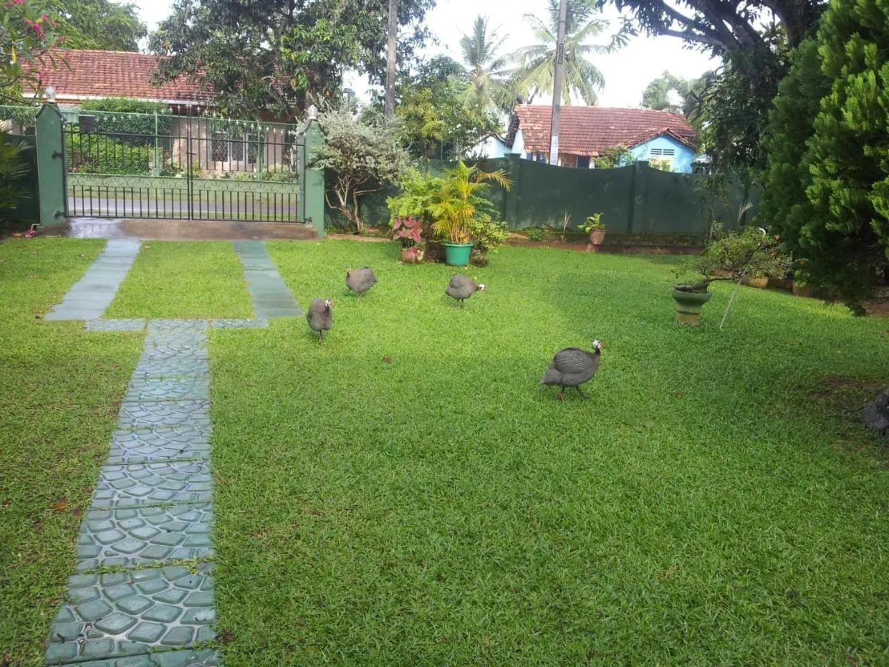 Day in Mama's Hostel by Taprobane