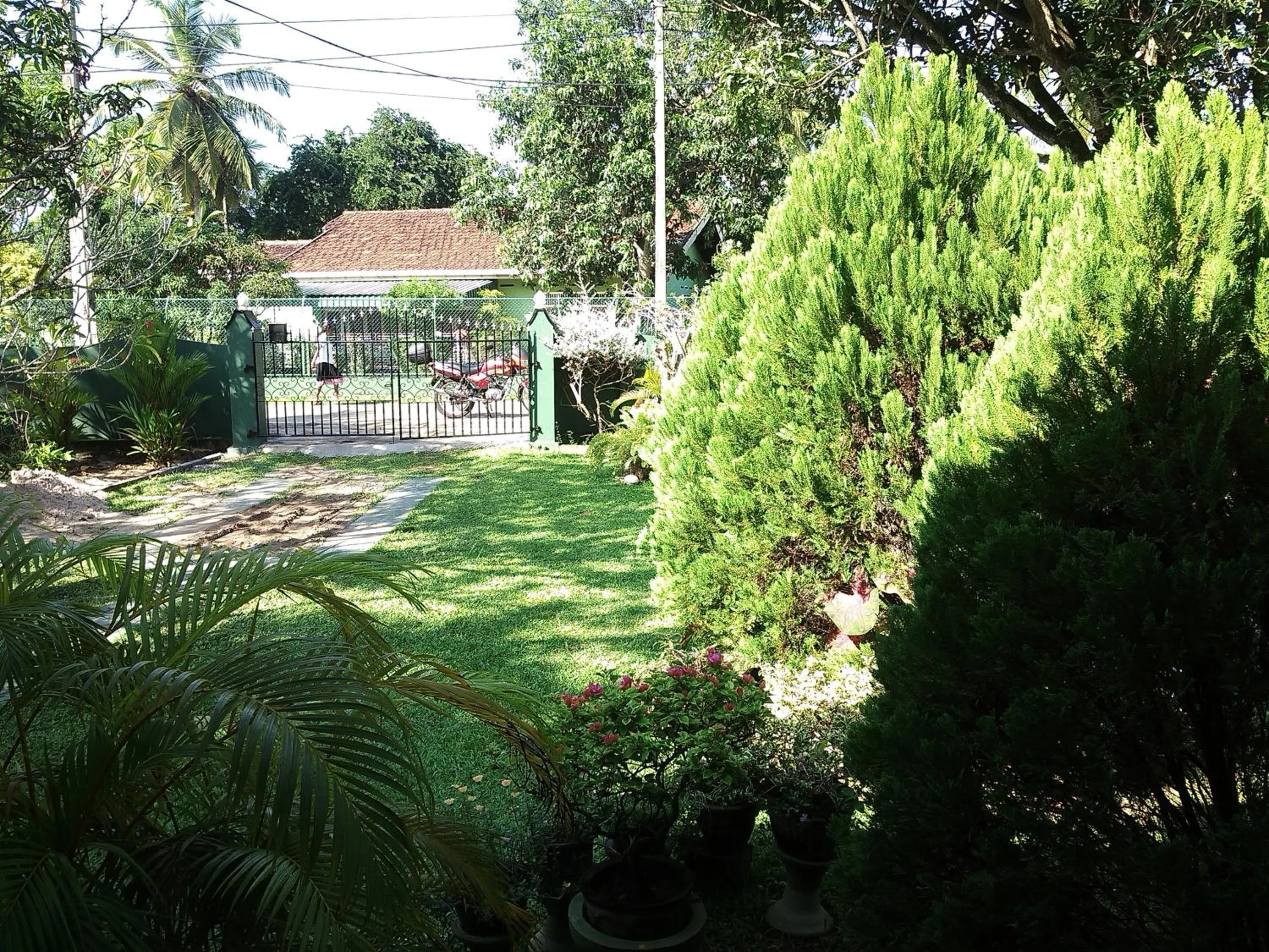 Garden in Mama's Hostel by Taprobane