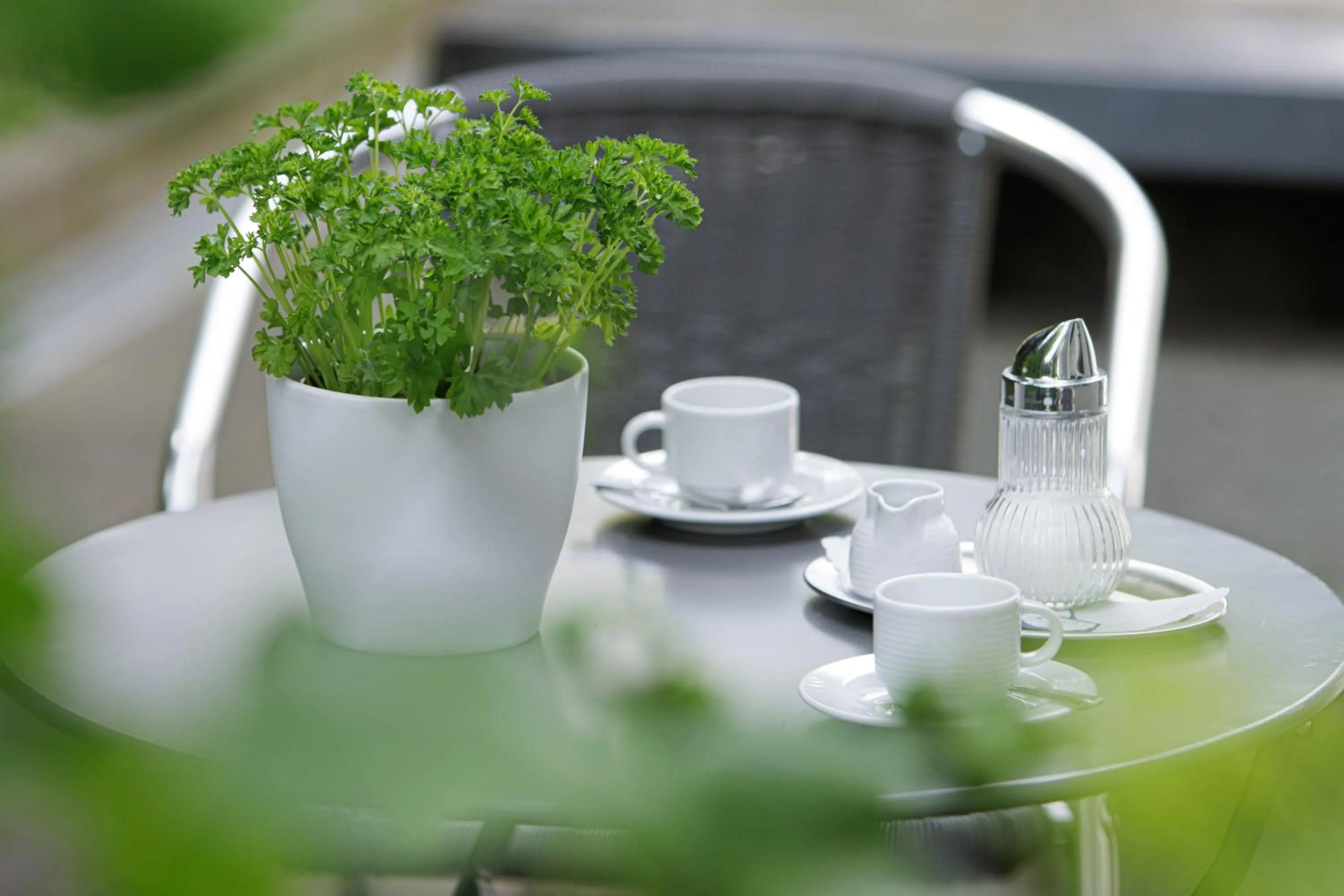 Garden in Apart Business Hotel