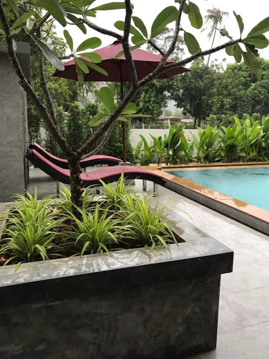 Amarina Green Amarina Green