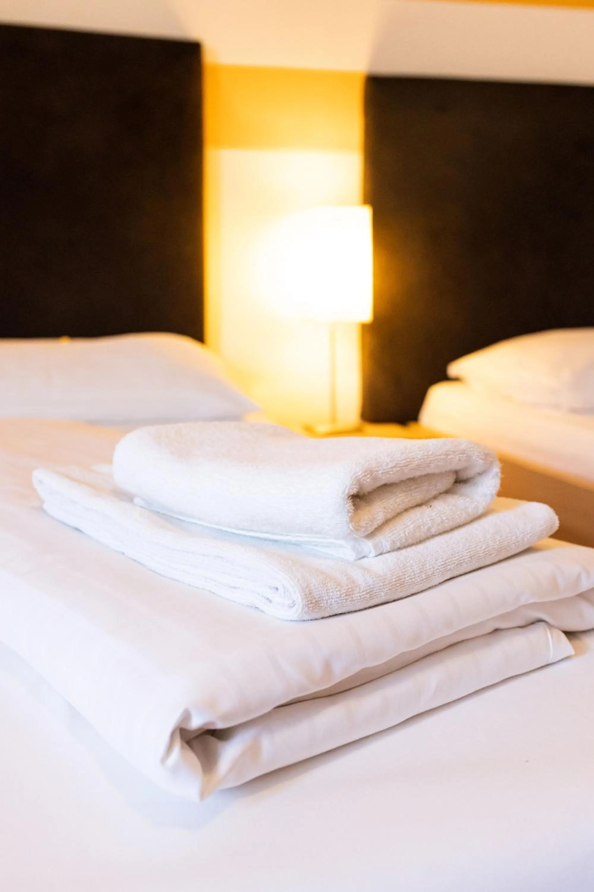 Bed in Lenas Donau Hotel