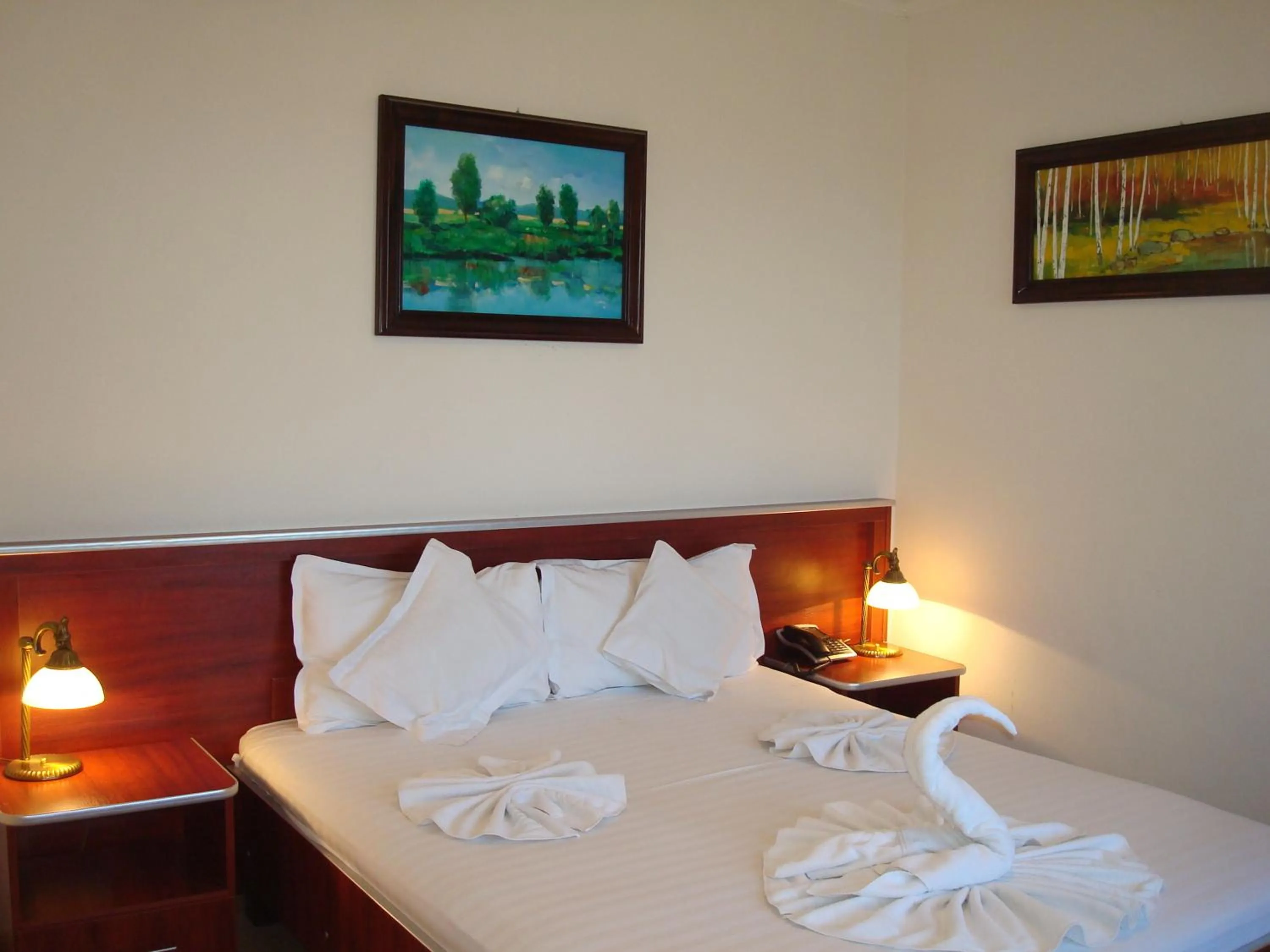 Standard Double Room - single occupancy in Hotel Ami