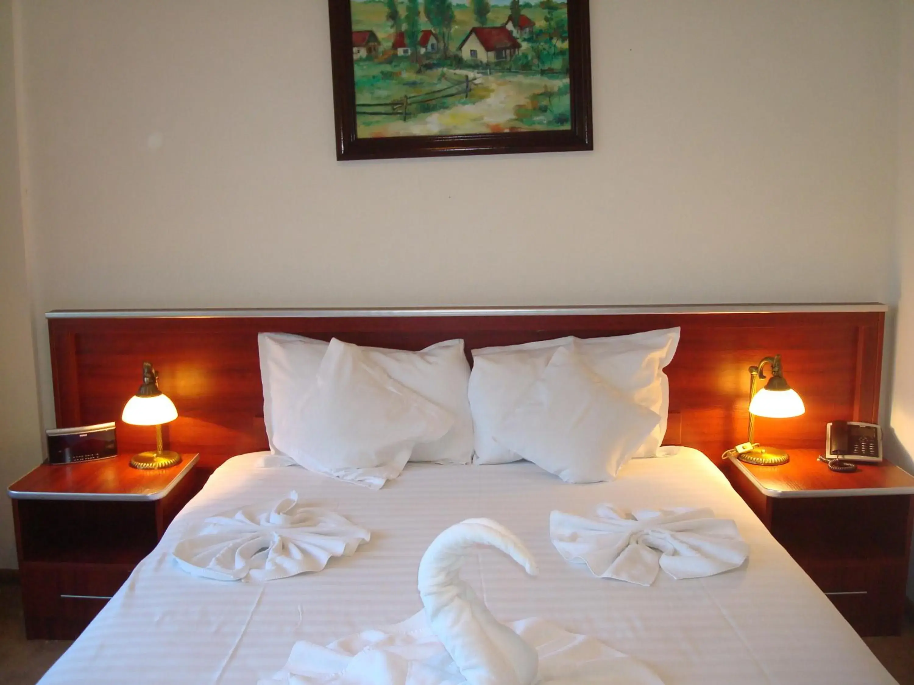 Standard Double Room - single occupancy in Hotel Ami Standard Double Room - single occupancy in Hotel Ami
