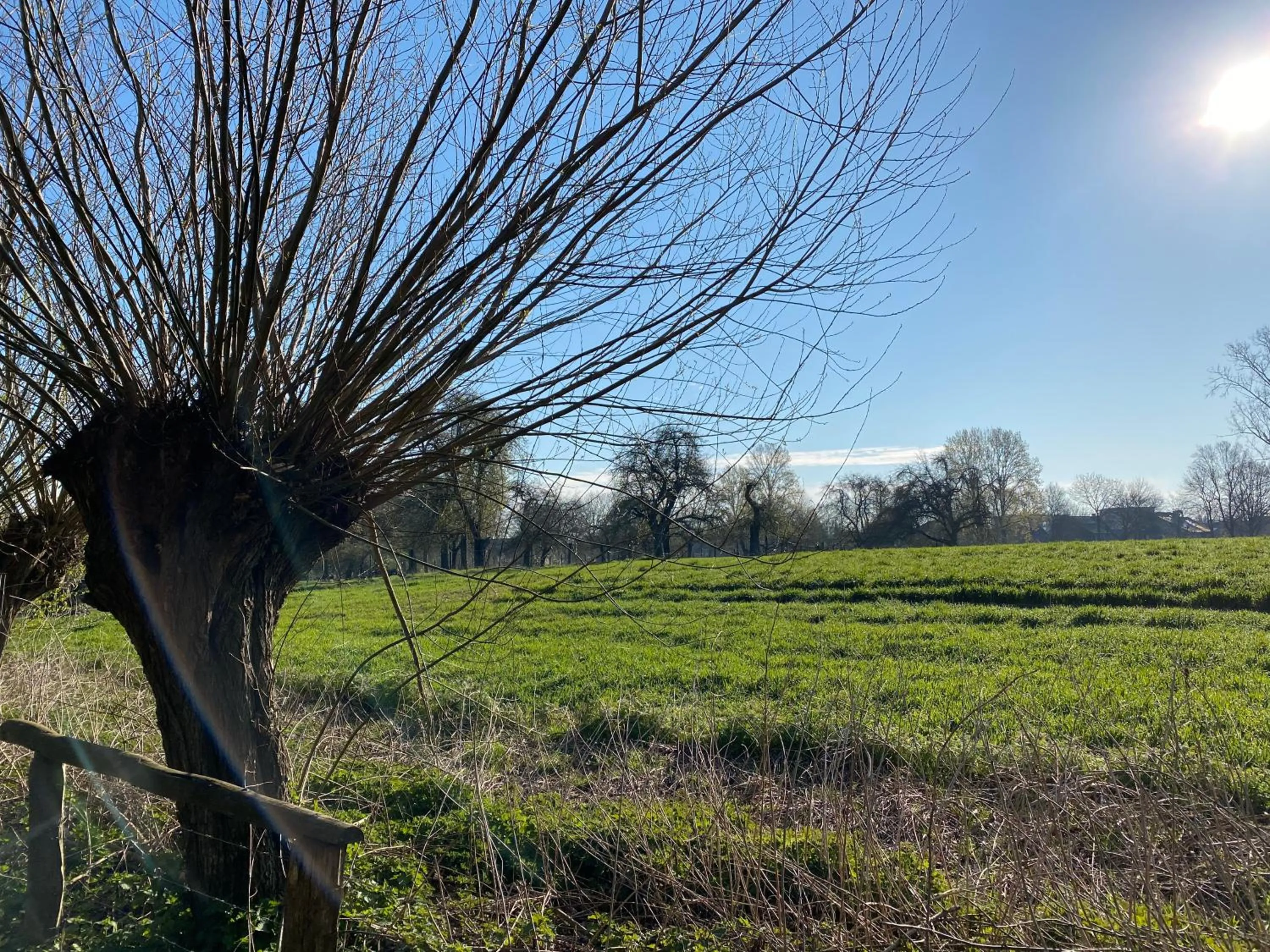 Hiking in Wellings Parkhotel