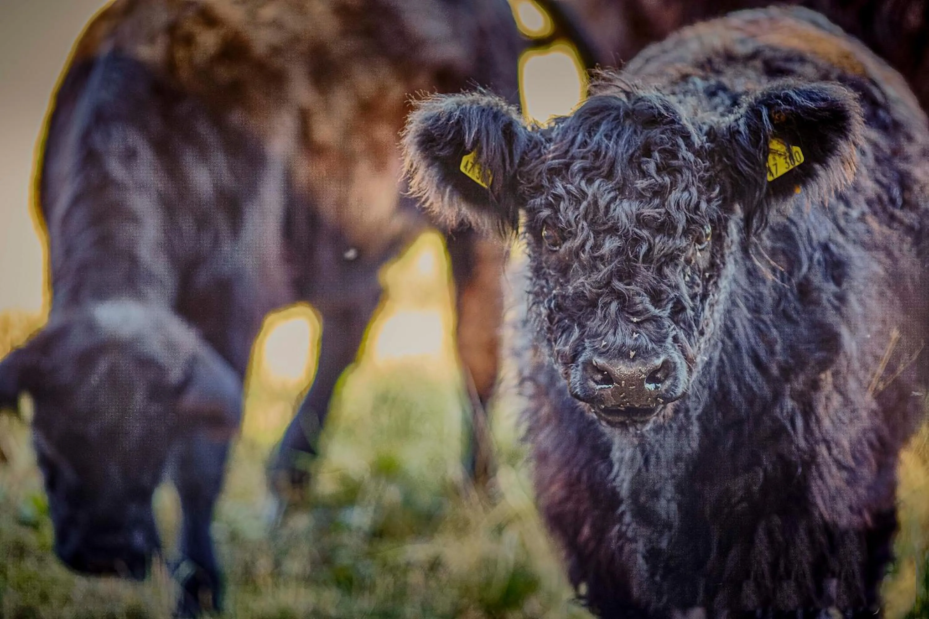 Hiking in Wellings Parkhotel