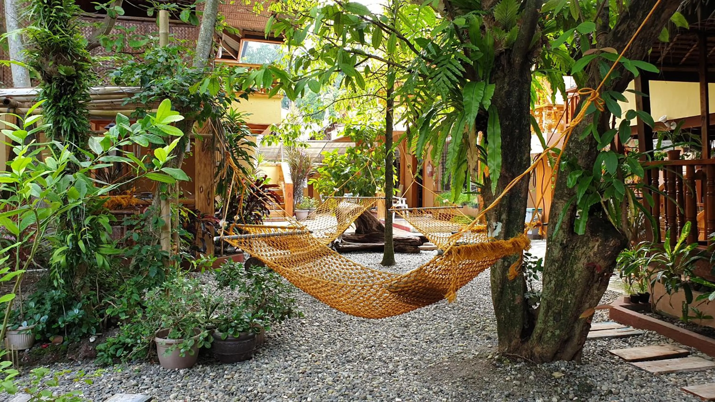 Garden in Roy's Rendezvous Boracay