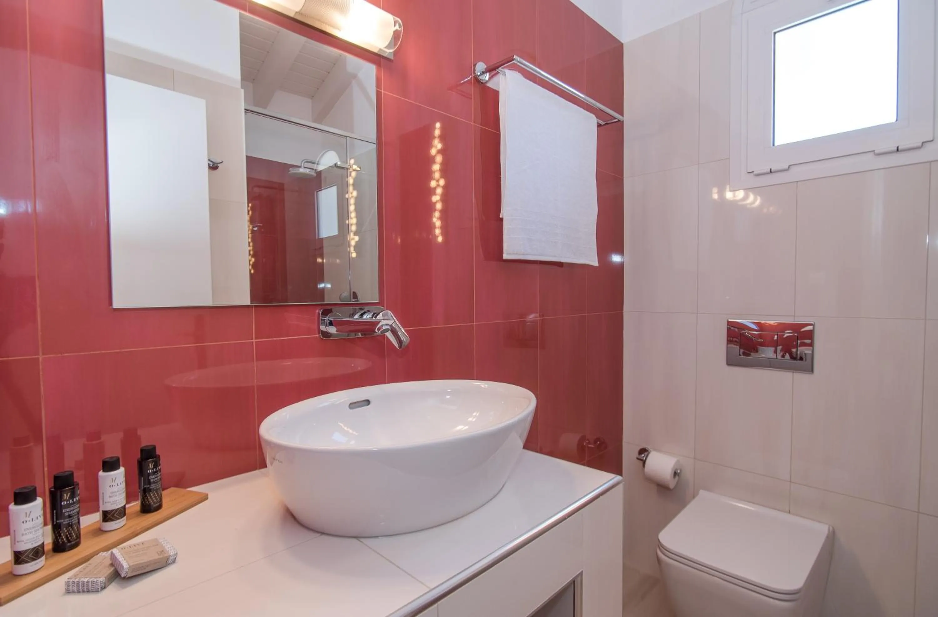 Shower in Edelweiss Hotel