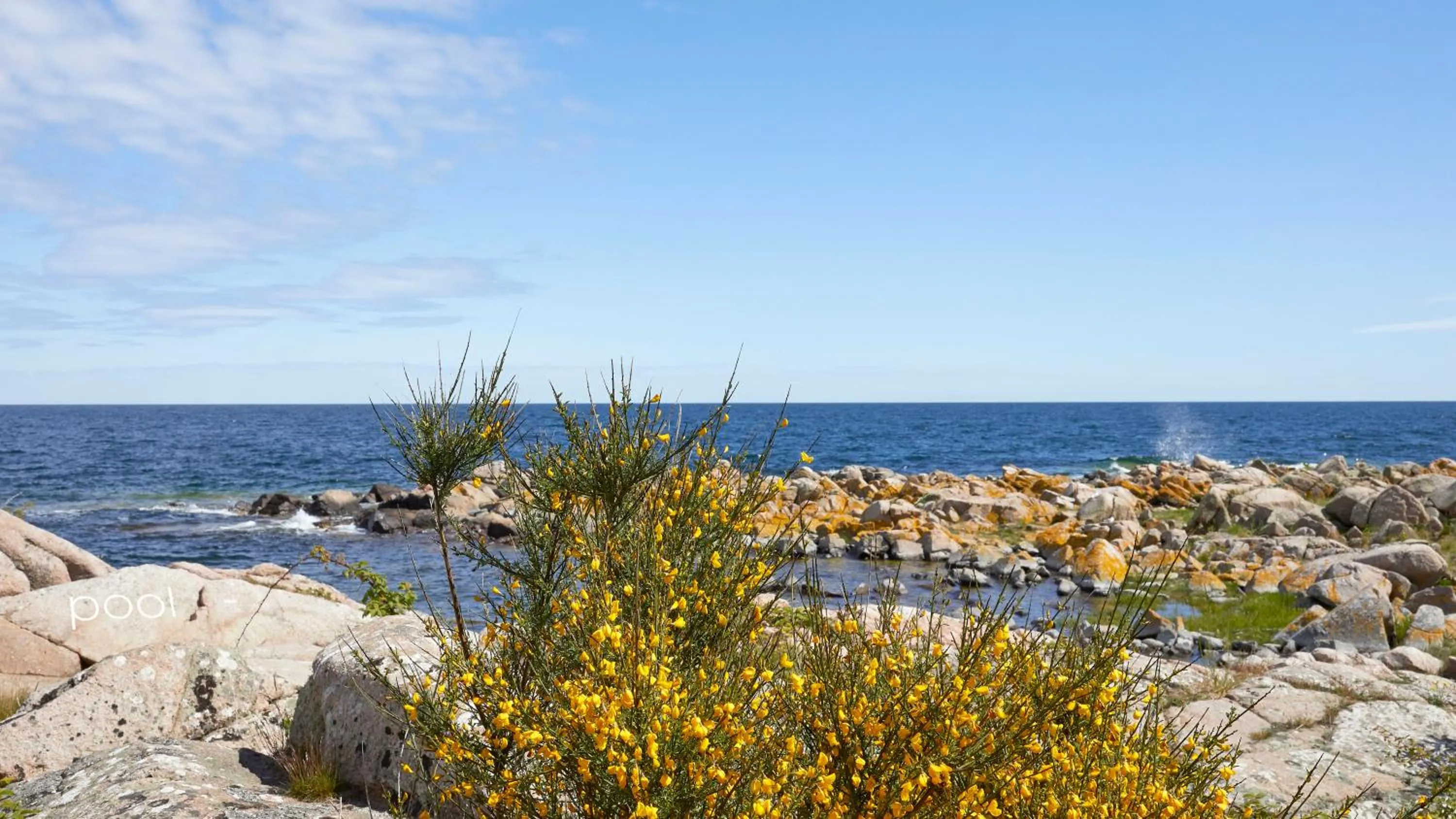 Sea view in Nordlandet