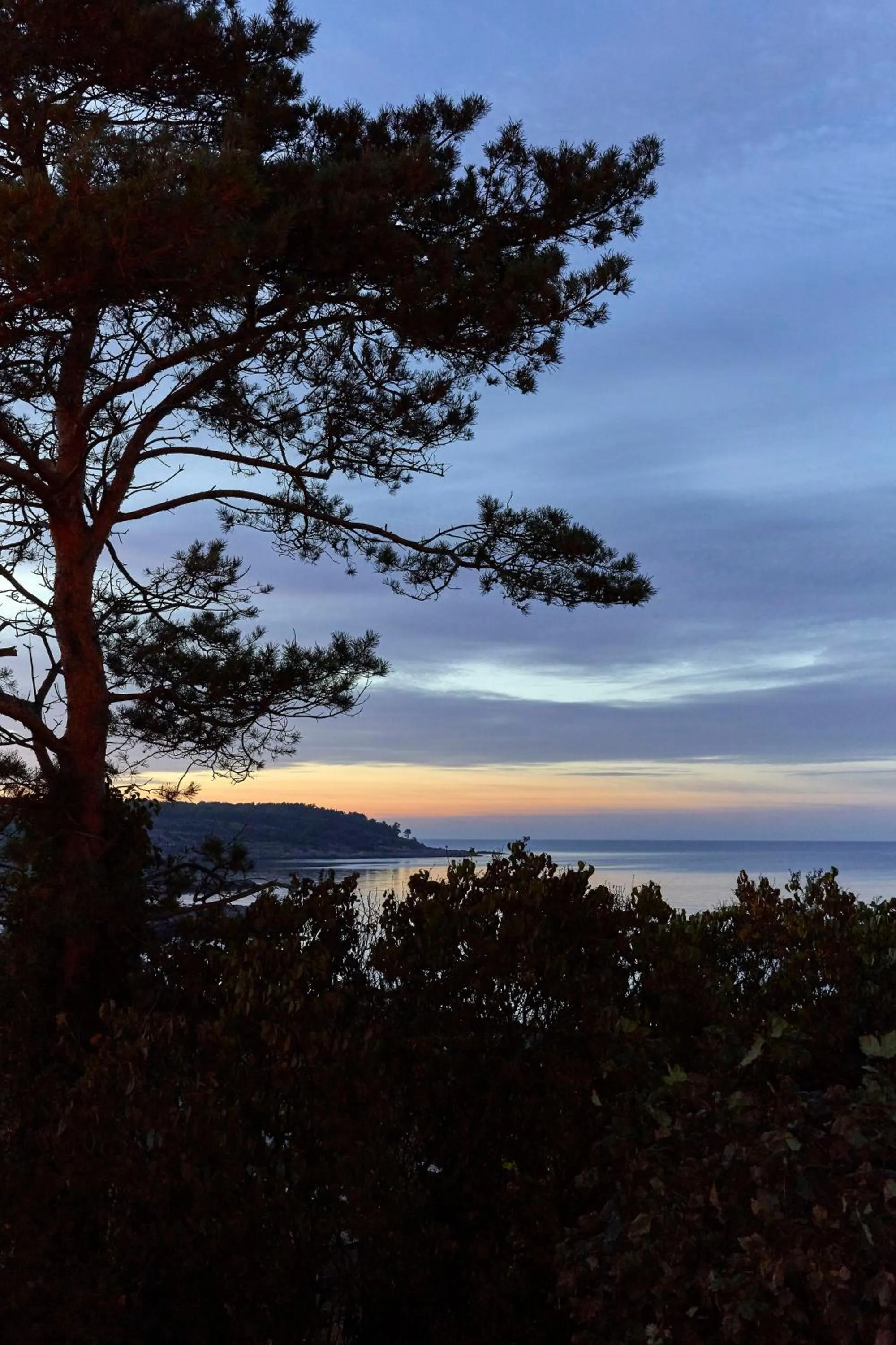 Property building in Nordlandet