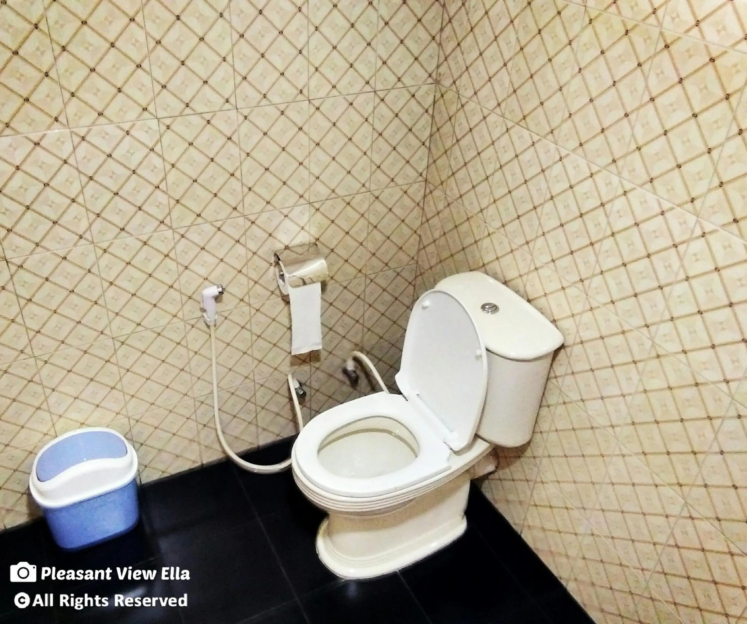 Bathroom in Pleasant View Ella