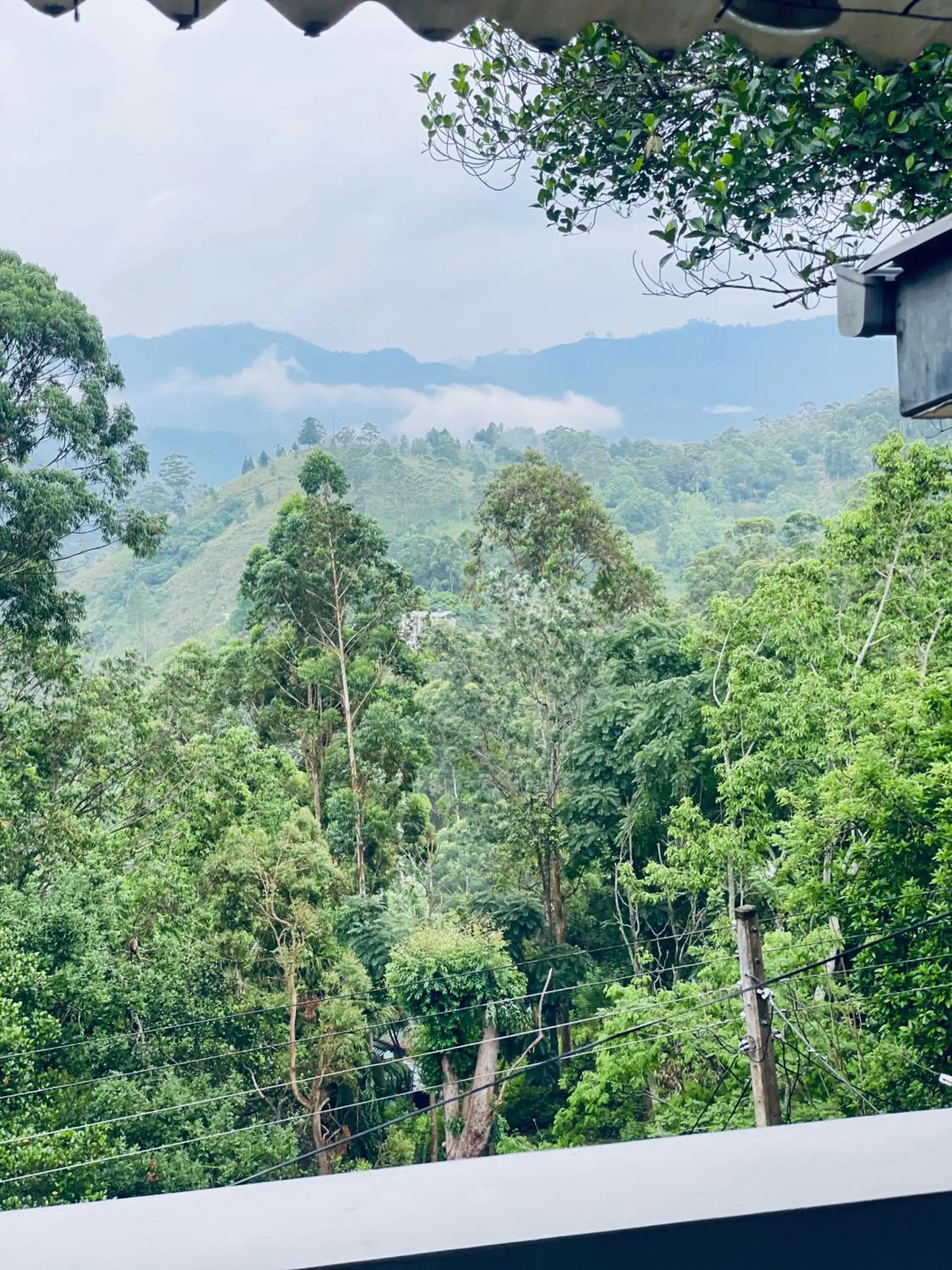 Natural landscape in Pleasant View Ella