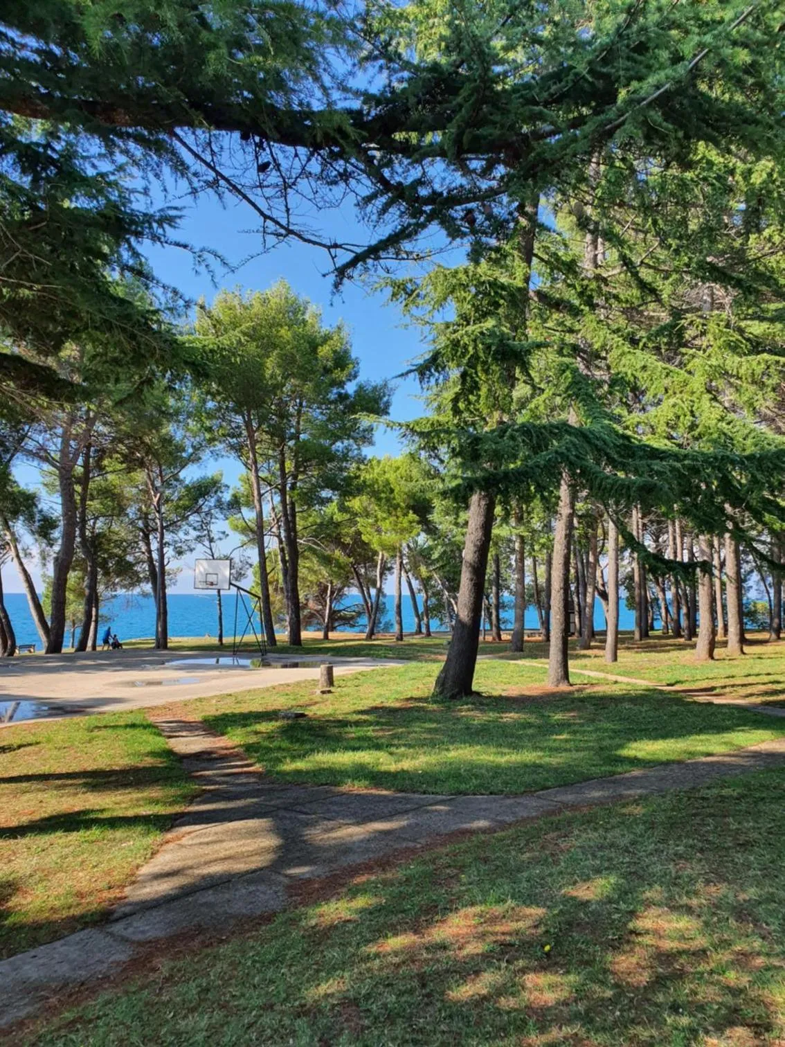 Neighbourhood in Family Bungalow Pineta