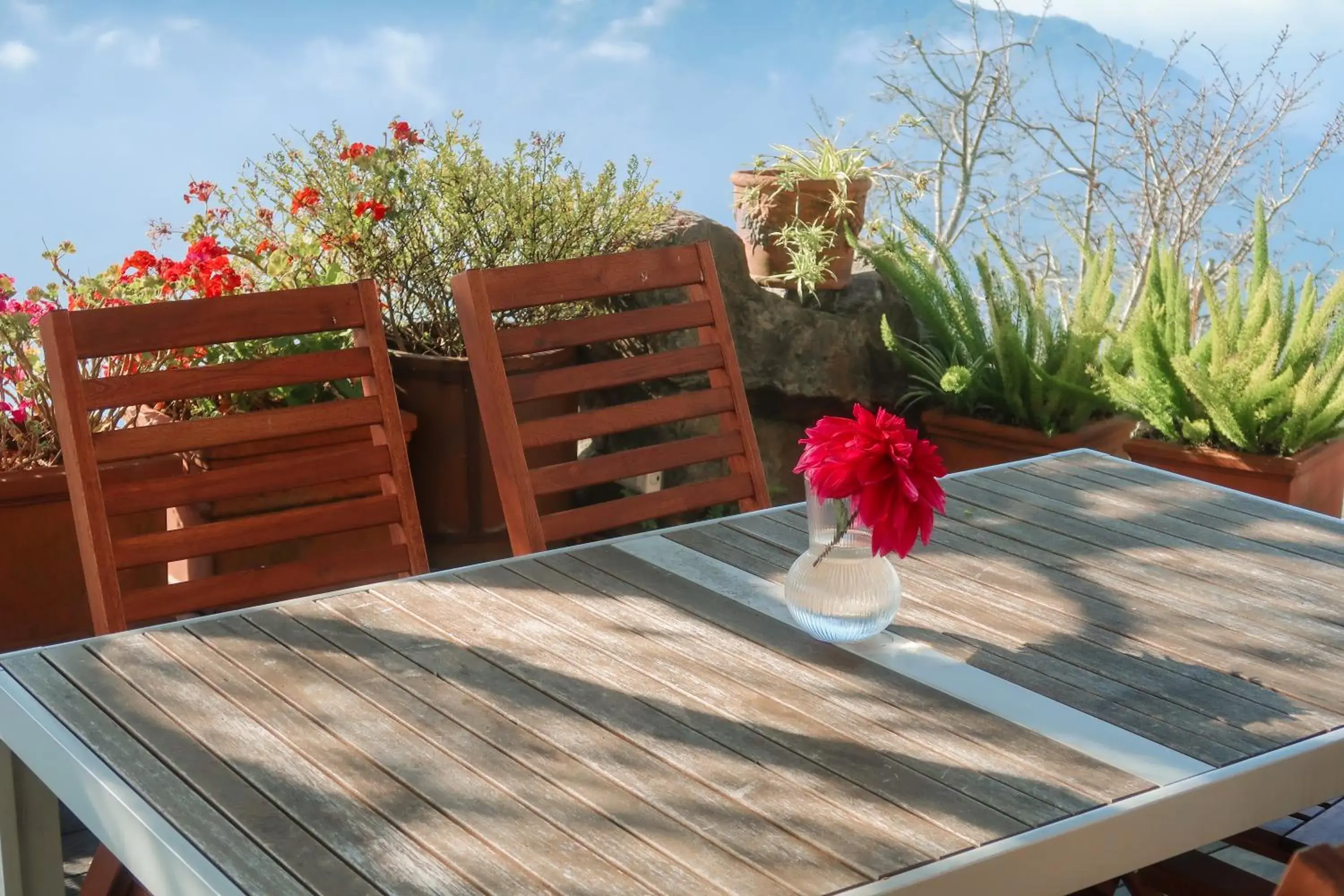 Restaurant/places to eat in Impression Nordic Manor Club Restaurant/places to eat in Impression Nordic Manor Club