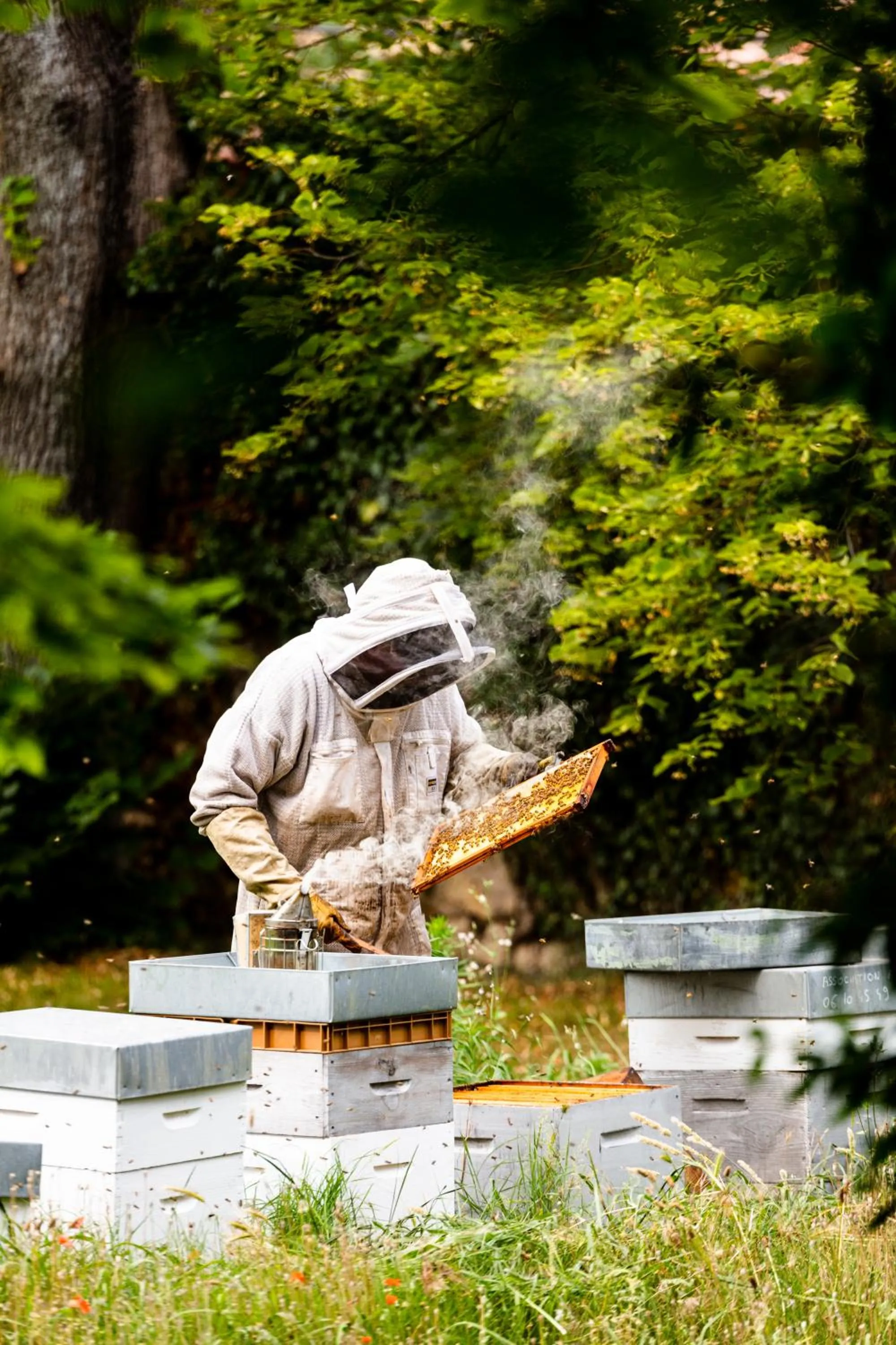 Garden in Hôtel - Restaurant & Spa La Magdeleine - Mathias Dandine