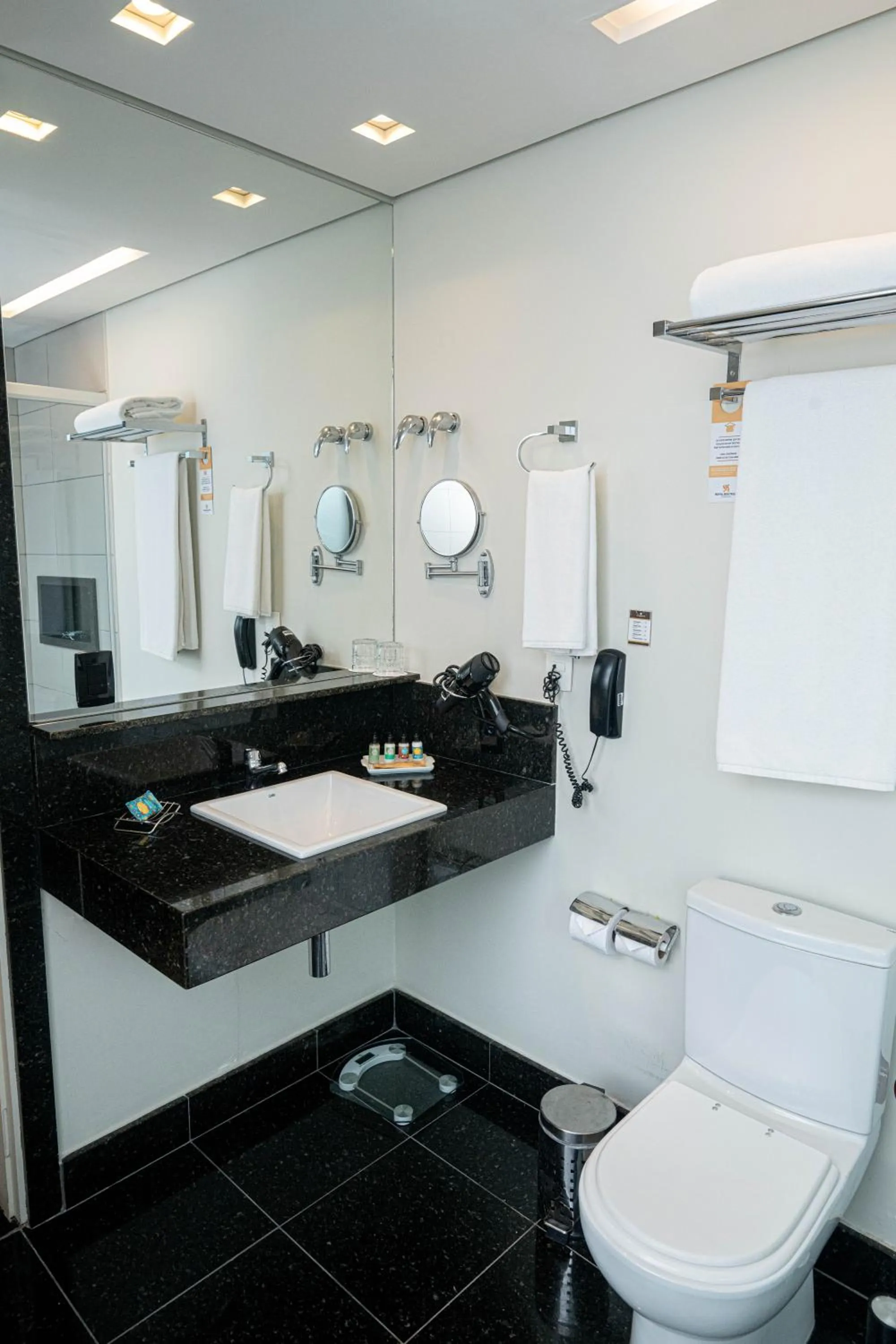 Toilet in Royal Collection Paulista