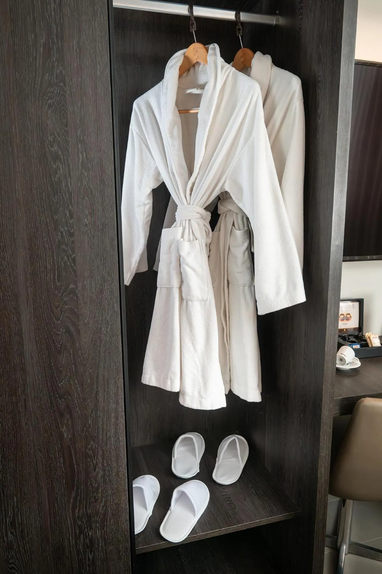 wardrobe in Royal Collection Paulista