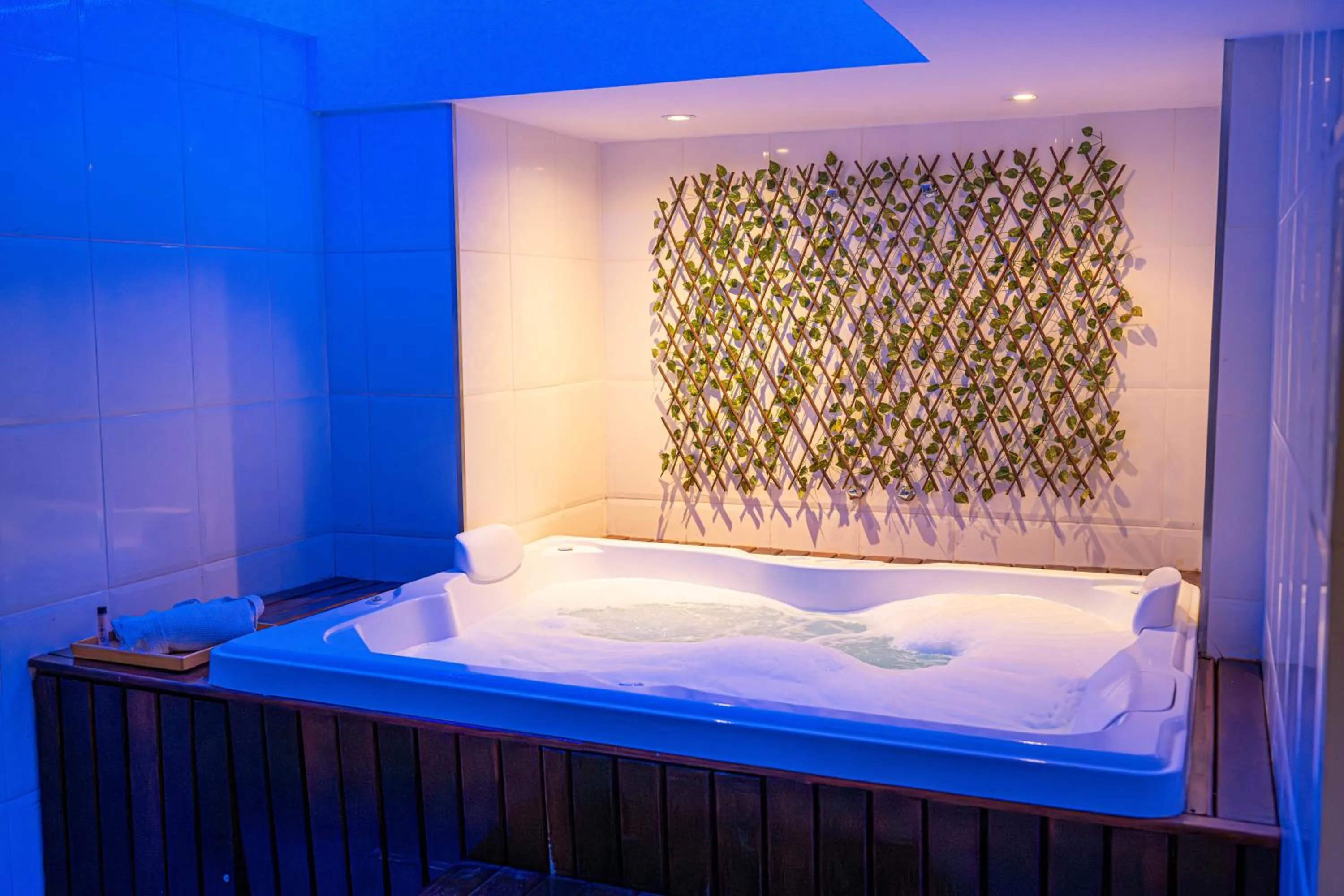 Hot Tub, Bed in Royal Collection Paulista