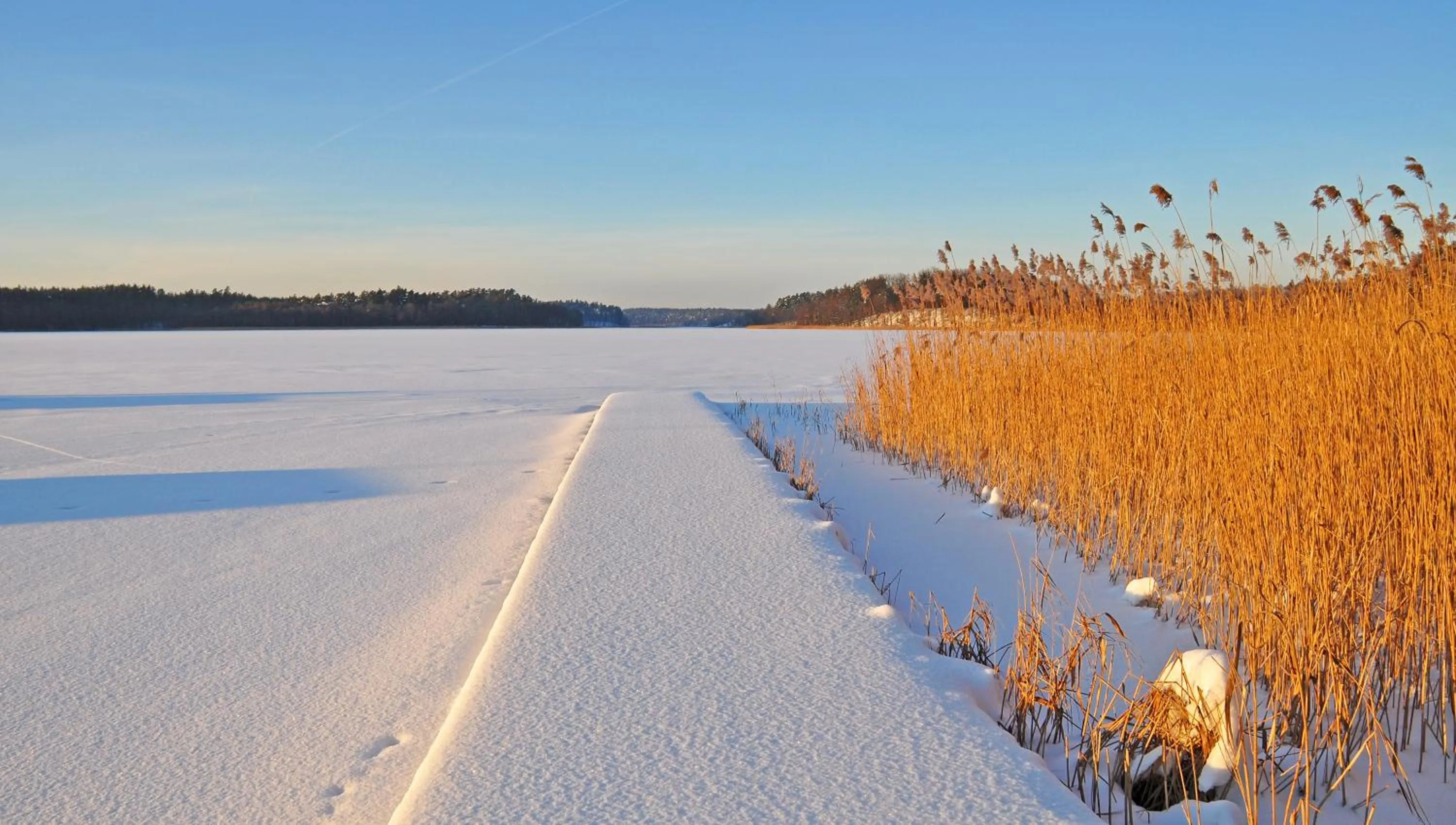 Natural landscape in Hotel Warszawa Spa & Resort