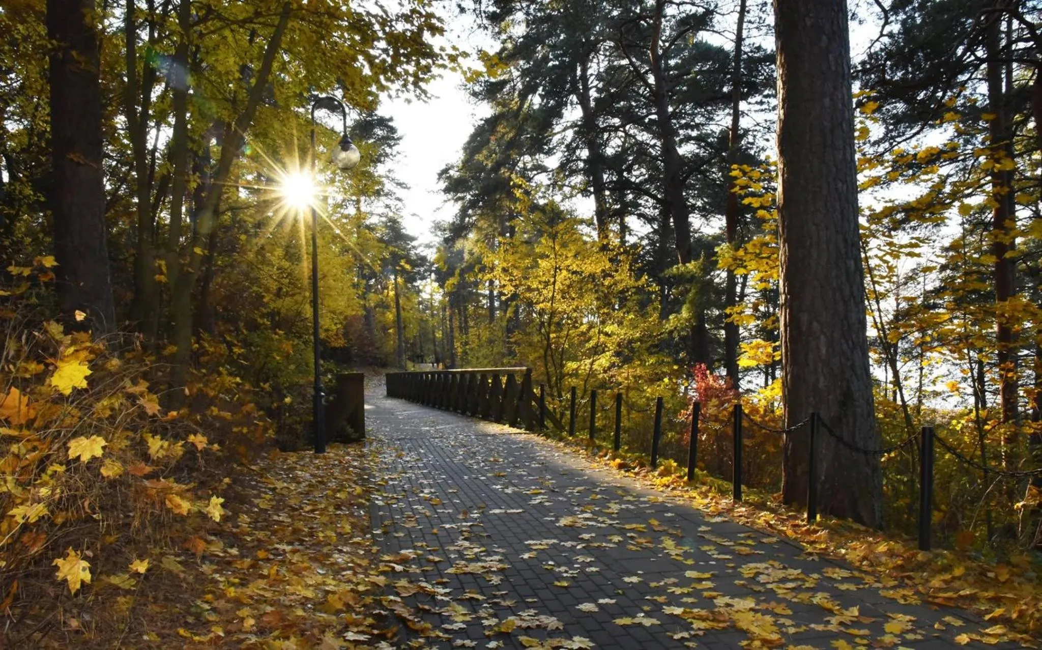 Hiking in Hotel Warszawa Spa & Resort