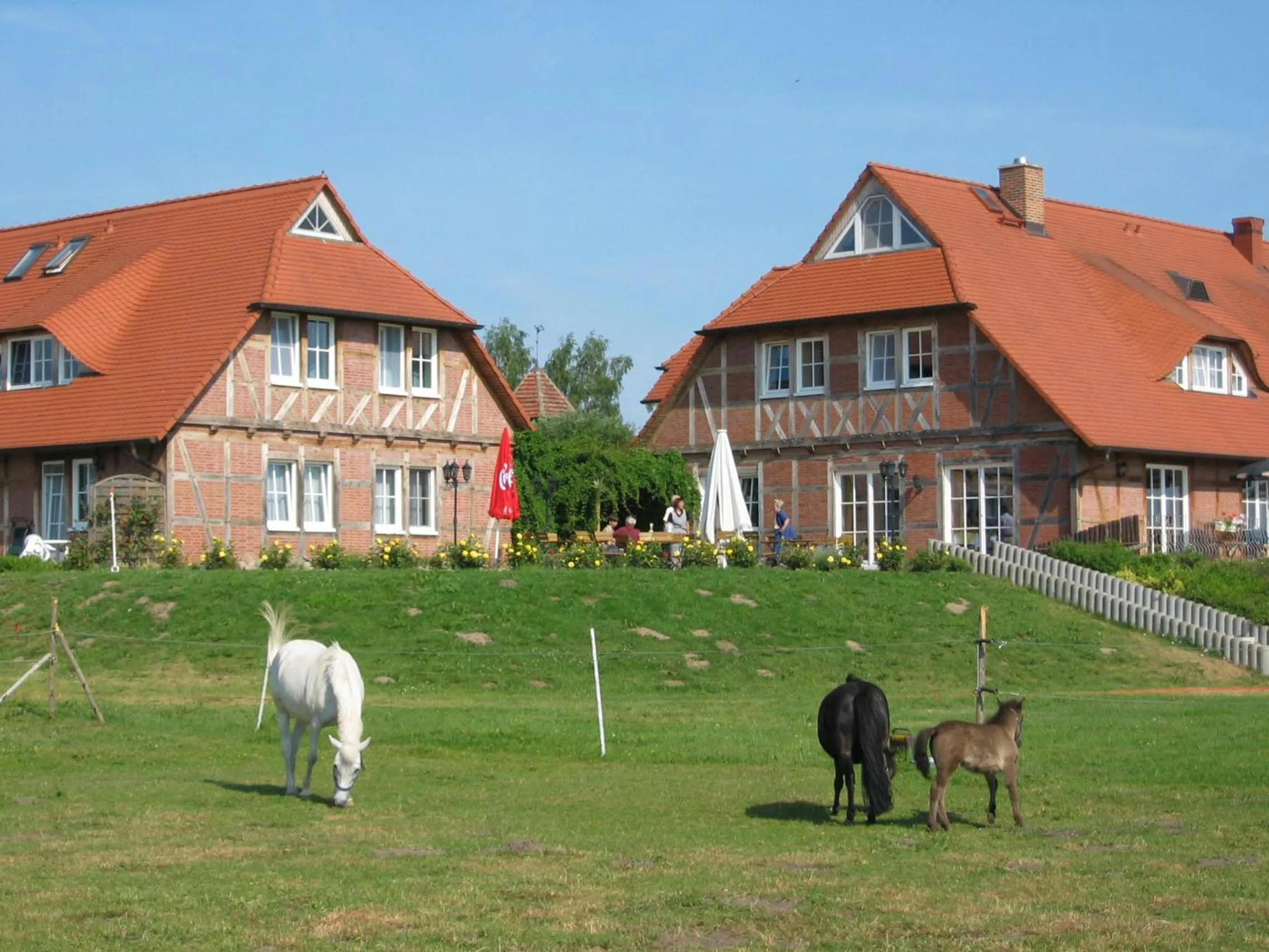 Patio in Flair Seehotel Zielow