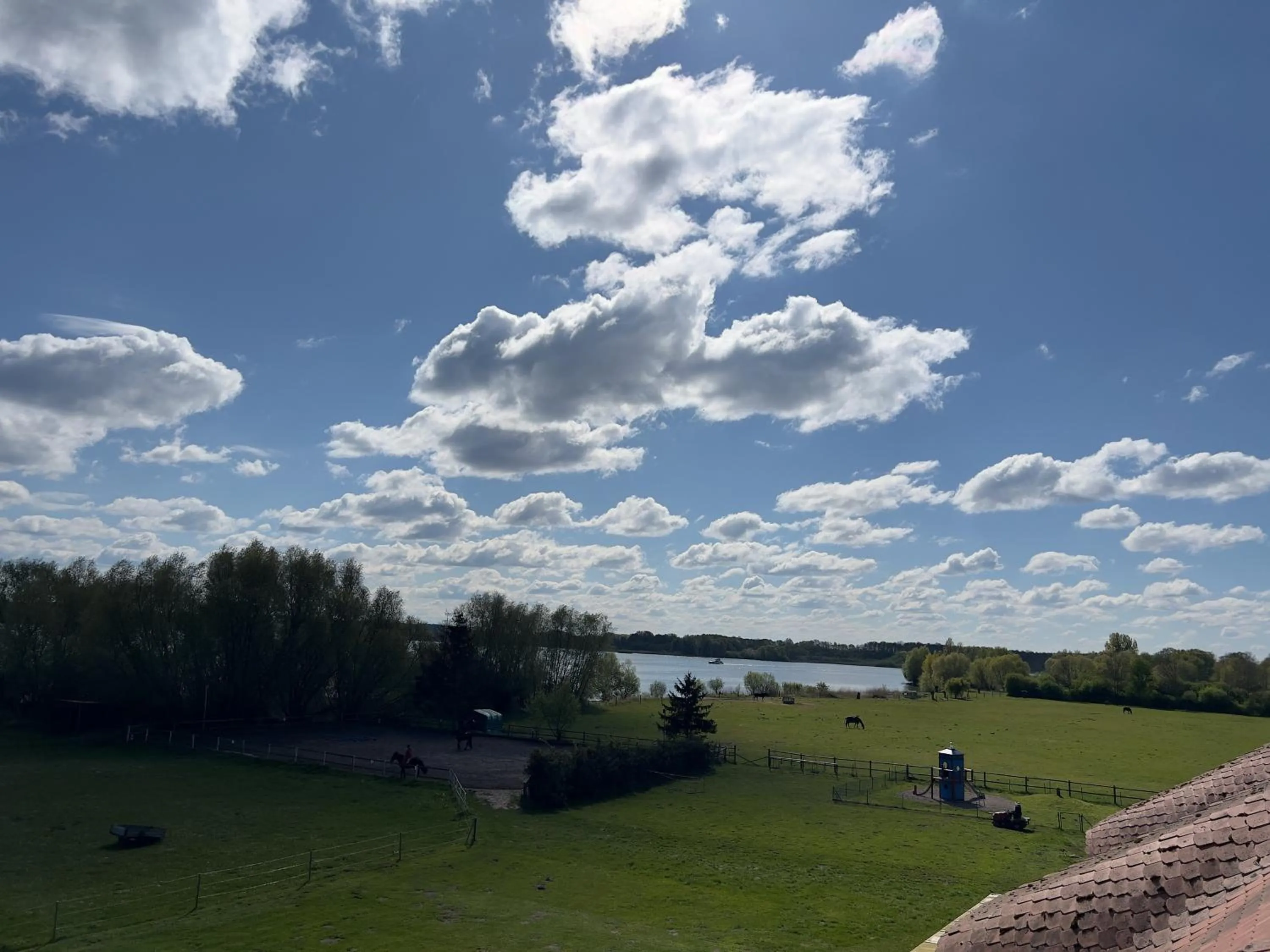 Lake view in Flair Seehotel Zielow