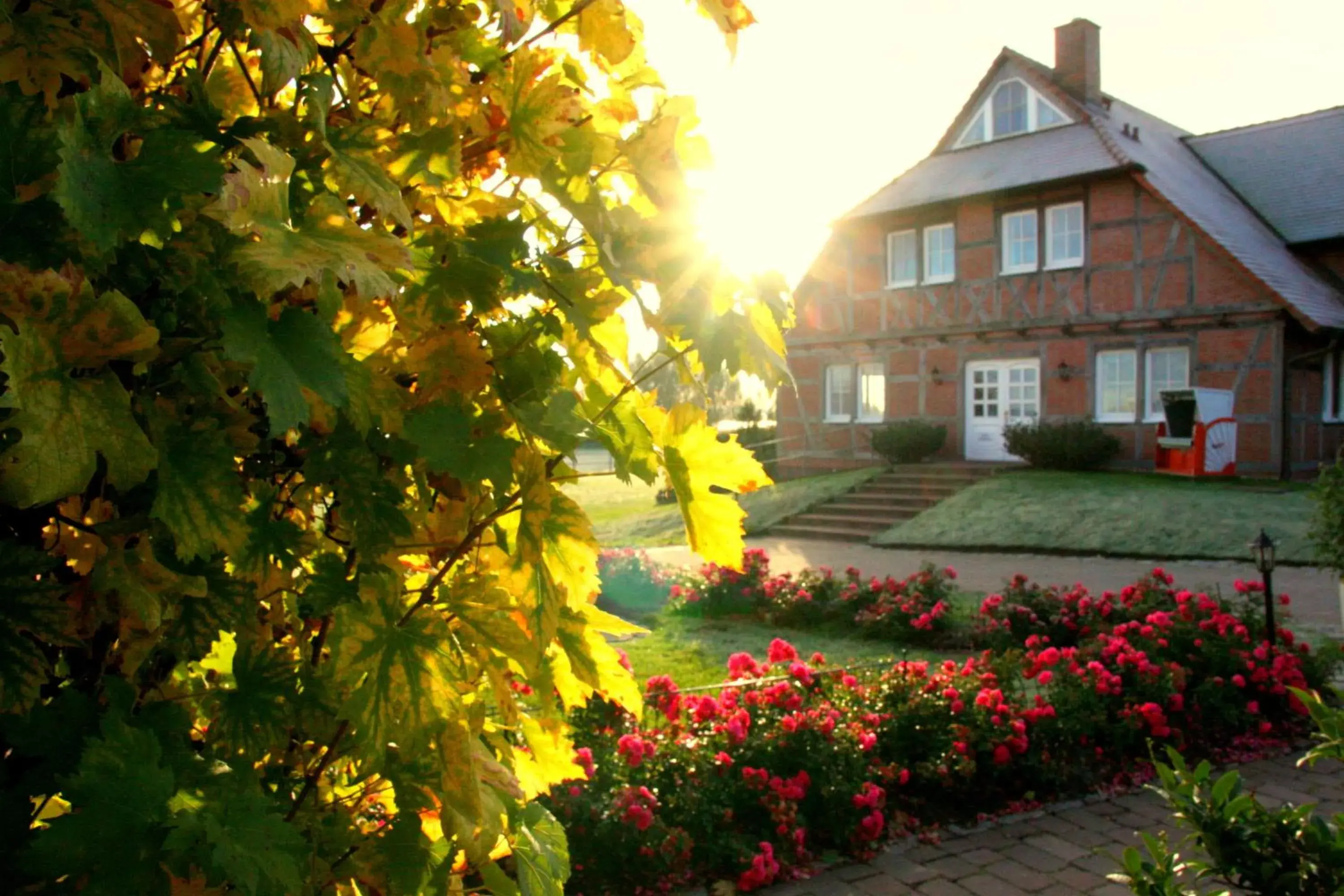 Maisonette in Flair Seehotel Zielow Maisonette in Flair Seehotel Zielow