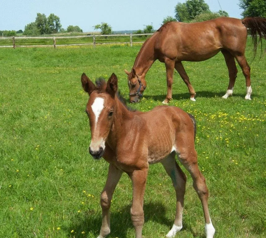 Spring in Flair Seehotel Zielow