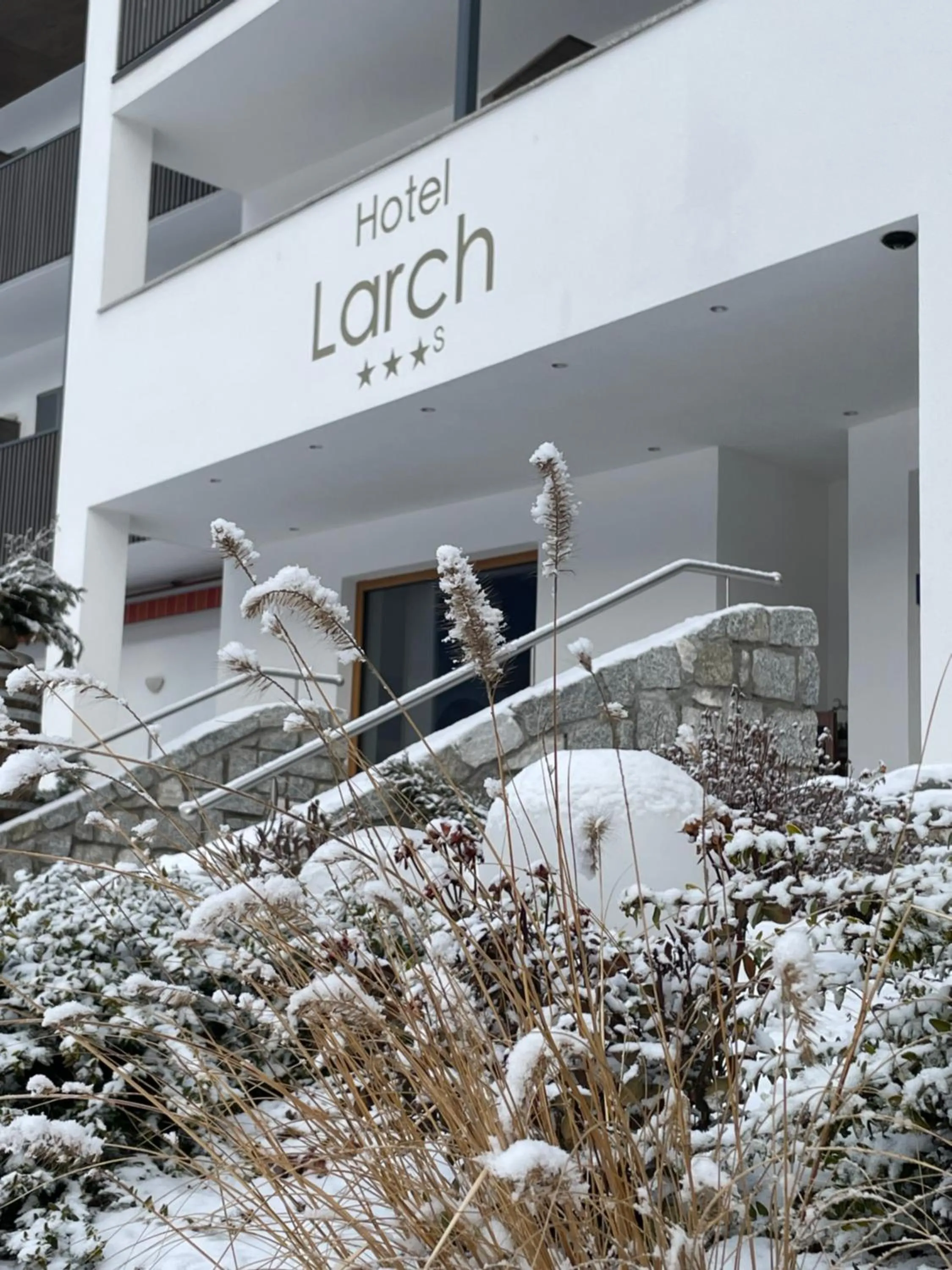 Winter in Hotel Larch