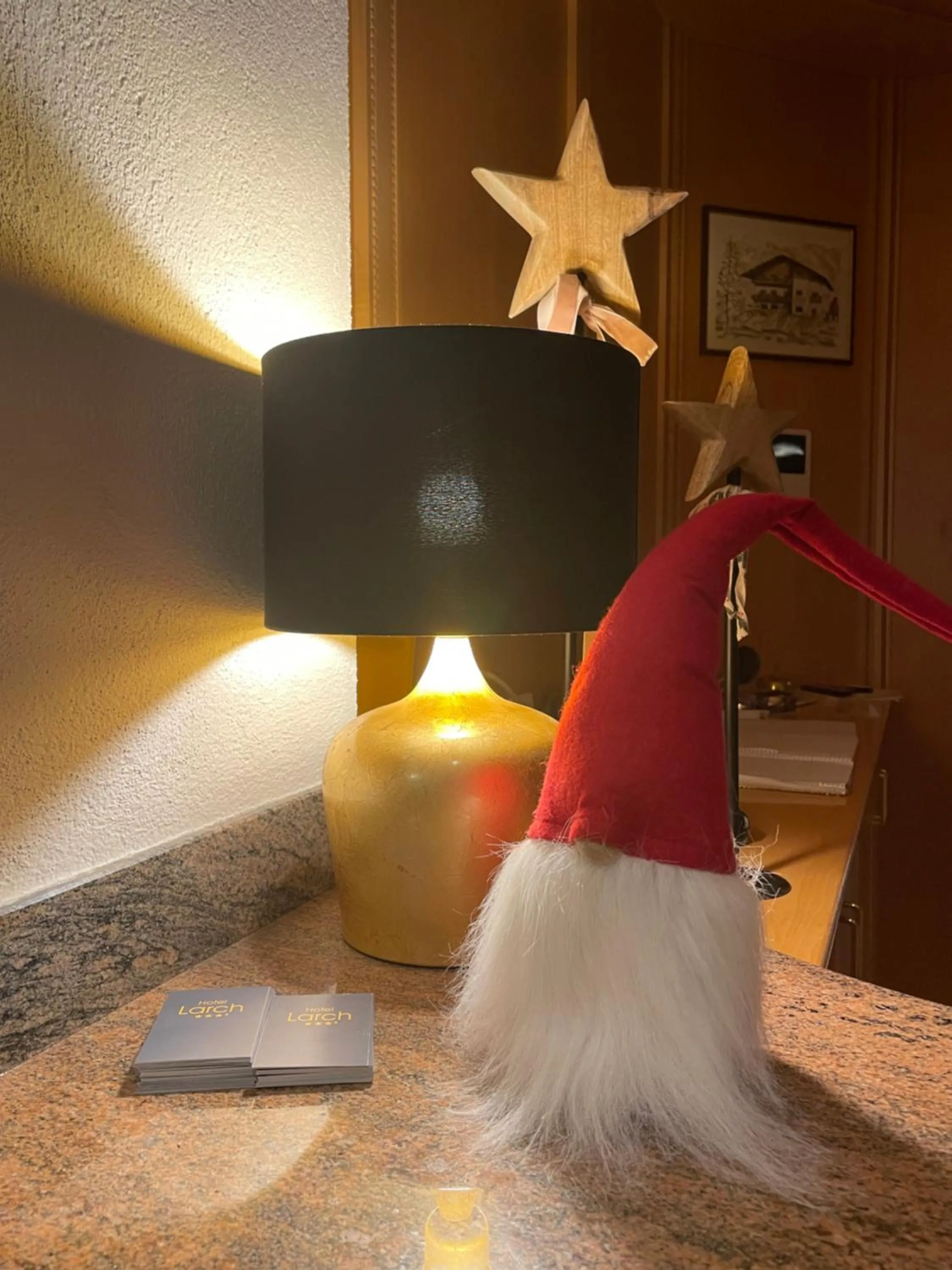 TV and multimedia in Hotel Larch